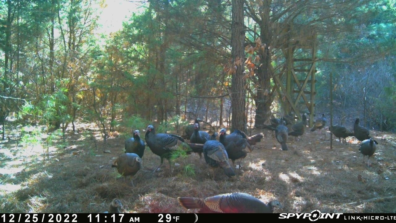 Metes & Bounds - Land