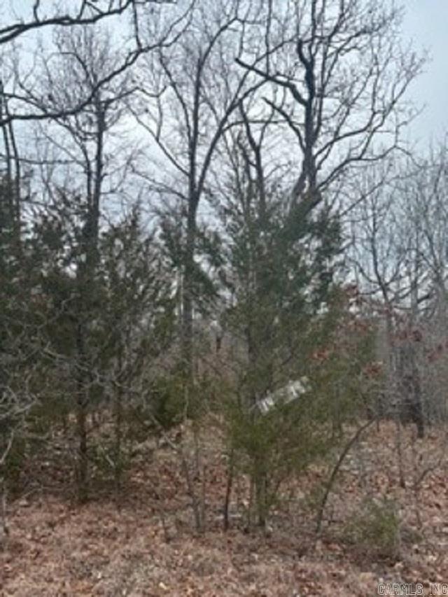 Starlight Estates - Land