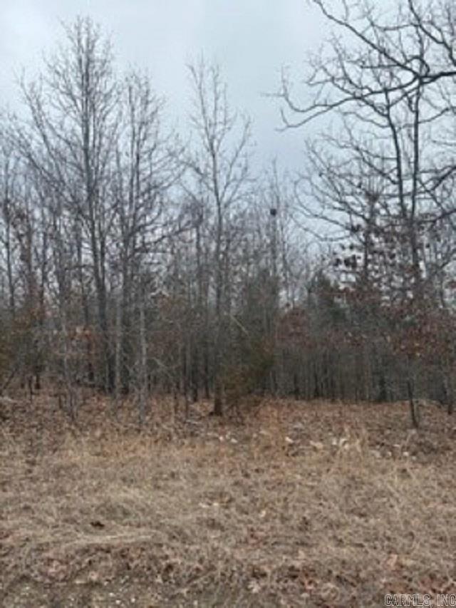 Starlight Estates - Land