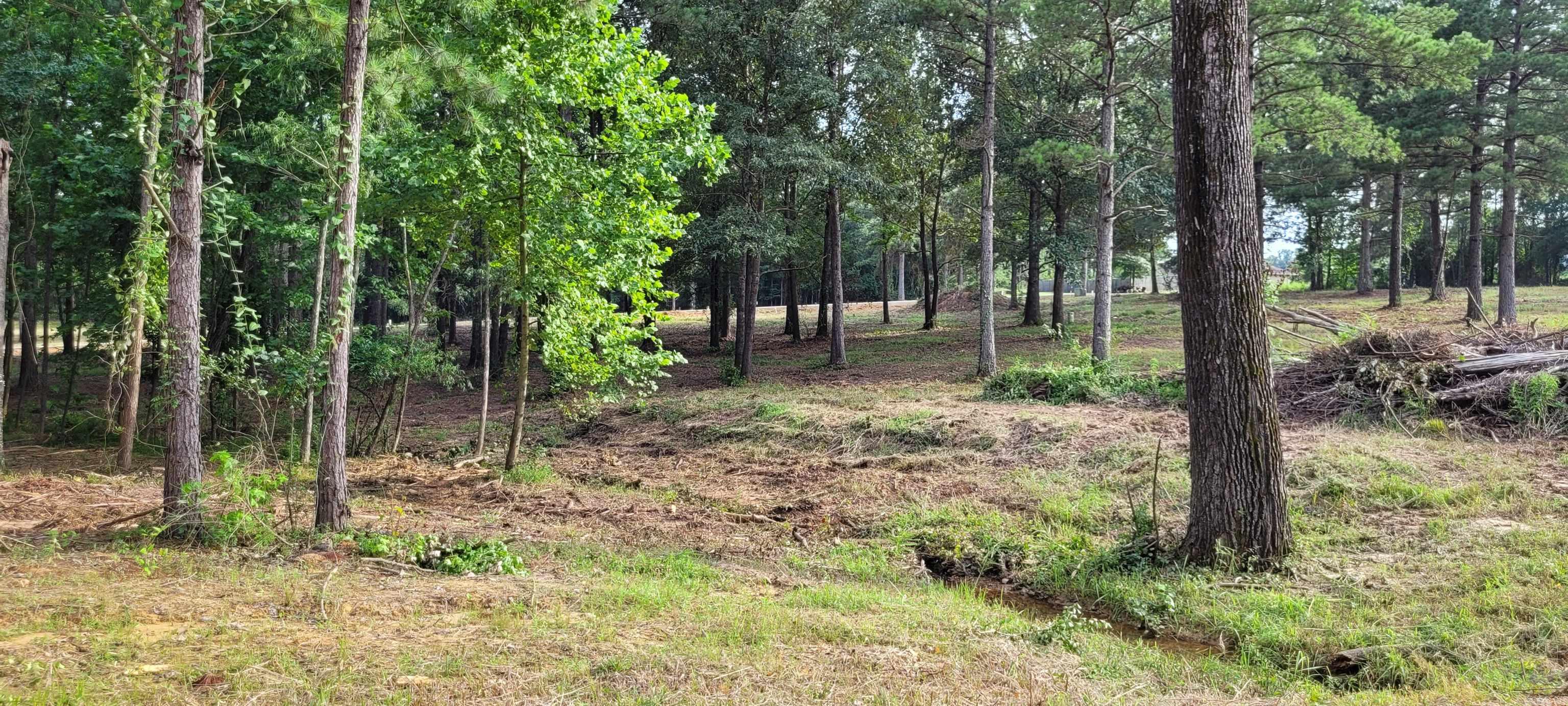 Coulter Estates - Land