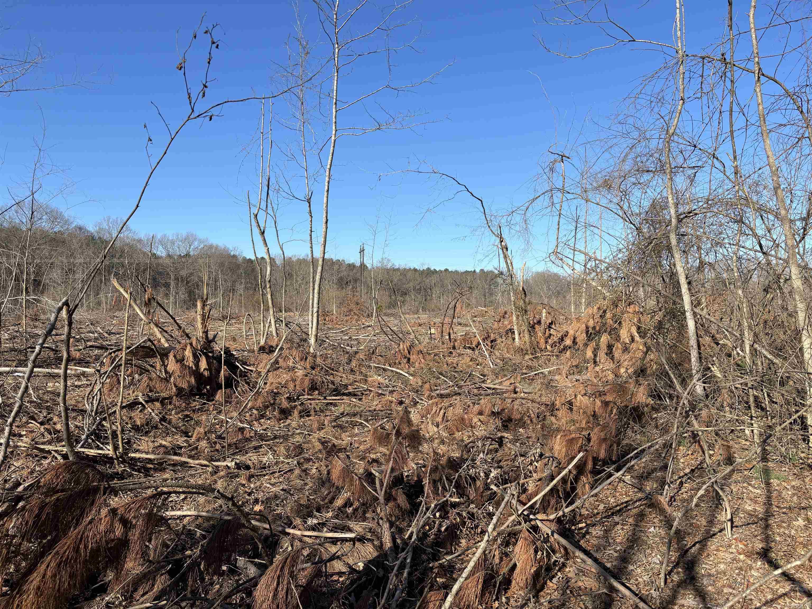 Metes & Bounds - Land