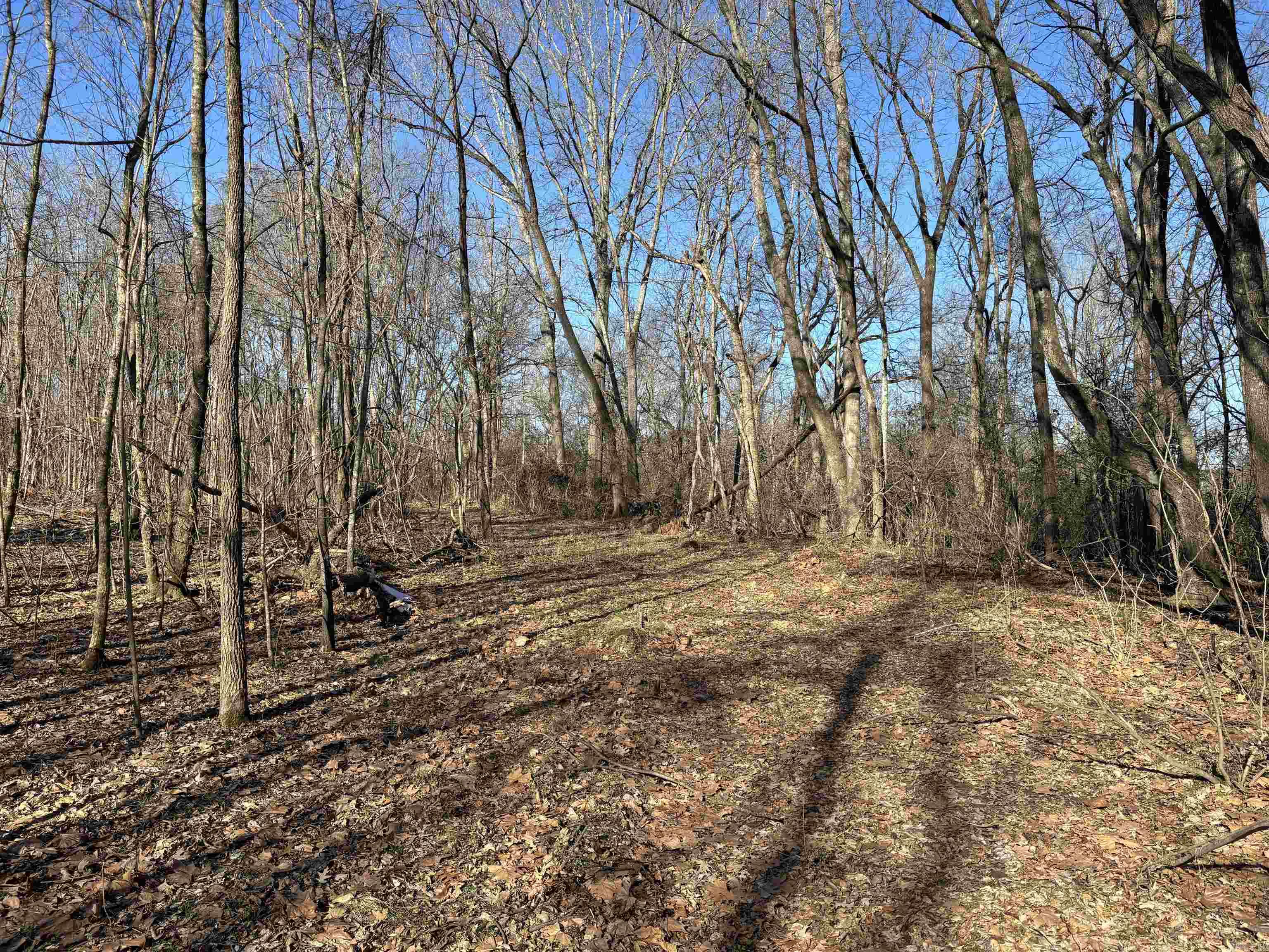 Metes & Bounds - Land