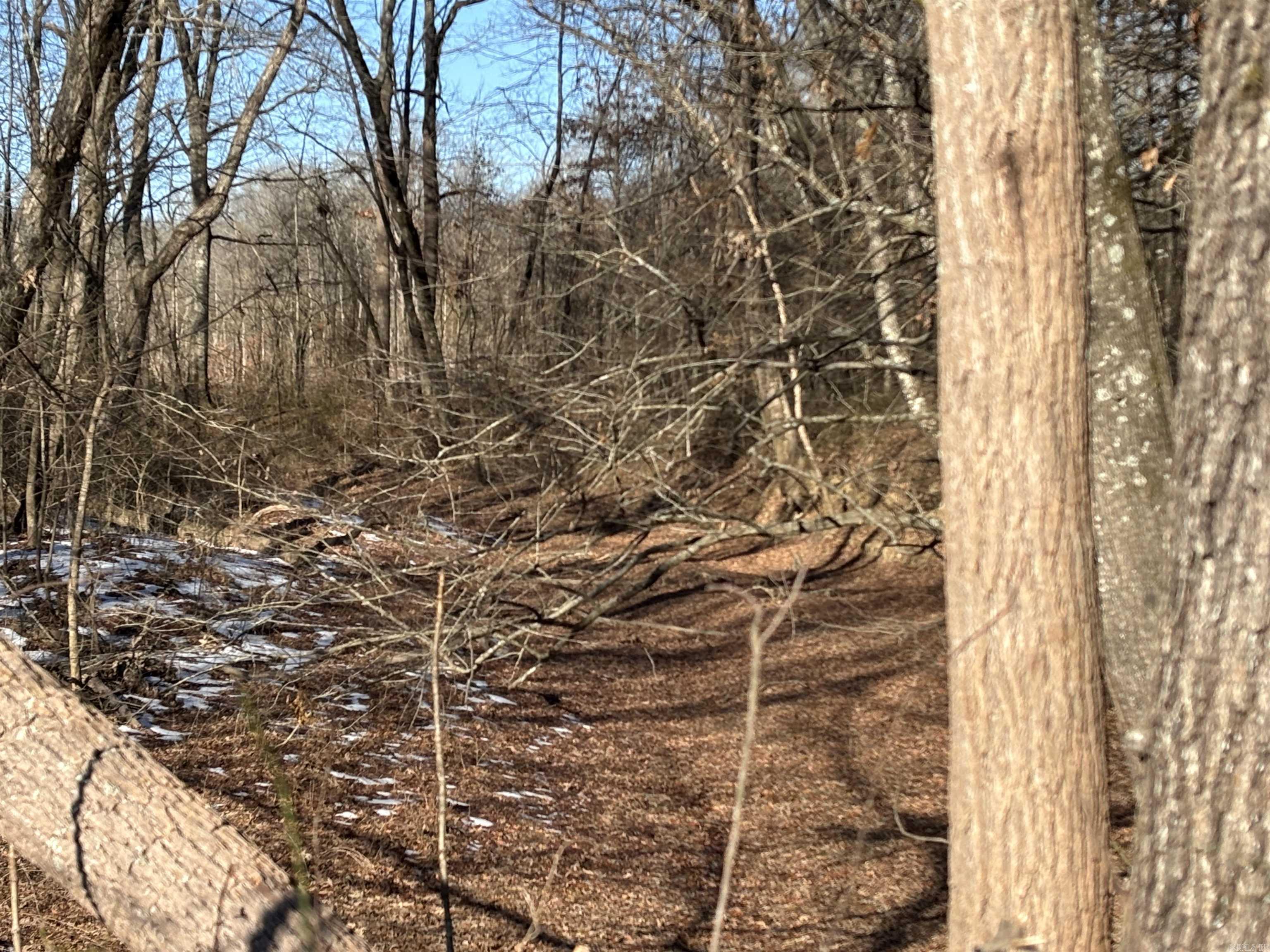 Metes & Bounds - Land