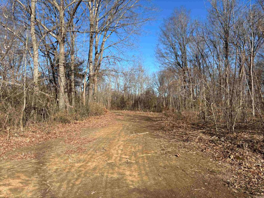 100+- Acres located along Big Creek Highway 16 White County. Just North of Searcy, Arkansas on the way to Pangburn you cross Big Creek.  This tract lays alongside this year round creek.  Big Creek had water flowing all through the driest winter of 2025-26 that I can remember.  The tract has been clear cut recently however the owners have maintained good road running throughout and along the entire perimeter of the Land.  Hardwoods are interspersed thoughout the property.  Excellent trapping for fur bearing animals exists and fishing/swimming are options anytime you want.    The map shows floodplain but the Pines tell a different story!!  The Owners report no flooding has been noticed or reported since the early 80's when they purchased the property.  The previous owner planted the pines and did not oose a one to standing water or flood.  As you know, Pine trees do not handle floods or bottum land that holds water for any length of time.  Pines can tolerate as much rain as nature can throw at them but it must drain quickly or they die off.  This tract has a good slough along one side of the property offering really good Wood Duck Hunting, Deer, Quail, Turkey, Fur Bearing, predators