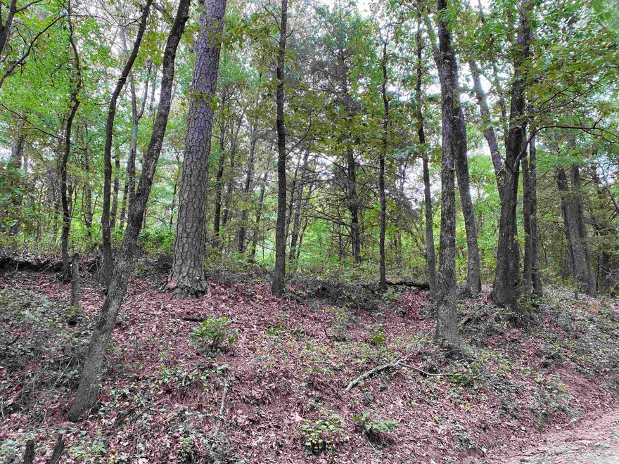 Secluded 5 acres!  All wooded.  Great spot to build a new home, place a mobile home or use for recreational purposes! The majority of the land is on the north side of the road and a small portion is on the south side.