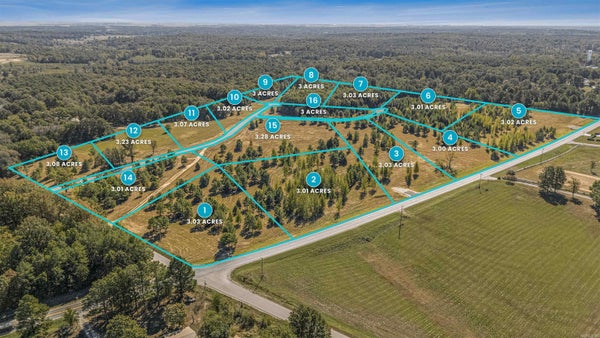 1355 HIGHWAY 351 S, PARAGOULD, AR 72450 - Image 21d2d0a7635dbd6020cbc075845a082d/2313984812