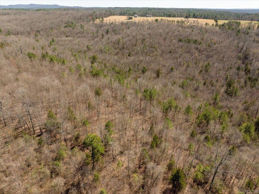 20 acres in the Mena area! Priced to sell! Inquire about more details!