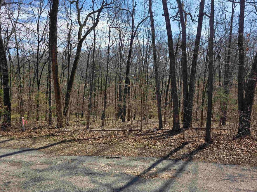 Nice lot with a gentle front to back downward slope. This lot overlooks the wet weather creek in the Powhatan valley. Lots of trees and lots of nature and wildlife. Come check this lot out, check out the view and see where you want to put your vacation home or your forever home. Retire here and fish 7 different lakes and golf 2 different 18-hole golf courses. Don't forget about the beautiful South Fork River that flows right through the Village. Shop in Old Hardy town and trout fish the Spring River. That's living the Cherokee Village lifestyle.