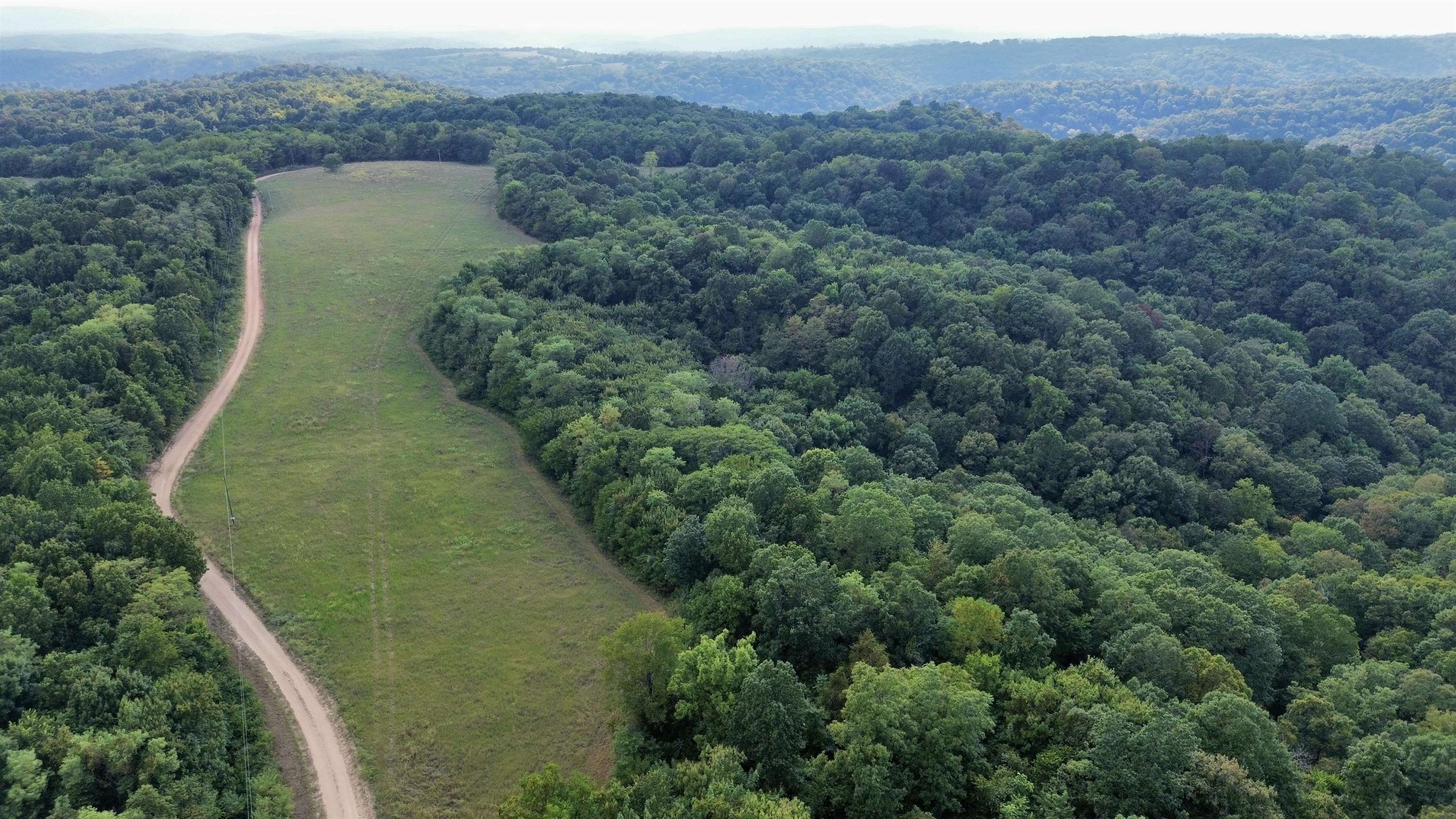 This 86-acre property is a true gem tucked away in the Ozark Mountains. With a county road bordering the land and both electric and rural water nearby, it’s perfectly set up for a future home, cabin, or shop. 13 acres of cleared ground provide the ideal spot for a residence, garden, pasture, or livestock setup—while still leaving plenty of wooded acreage to enjoy. Beyond the open land, miles of well-maintained trails wind through the rolling terrain. These trails make it easy to explore on foot, ATV, or horseback while taking in the natural beauty of the Ozarks. For outdoor enthusiasts, the hunting here is exceptional—whitetail deer, wild turkey, and even the occasional black bear roam these woods, offering endless recreational opportunities. The property also holds marketable timber, primarily white oak, black oak, and hickory. Not only does this add long-term investment value, but it also enhances the habitat for wildlife and creates a scenic setting of mature timberland. Whether you’re looking for a place to build your dream home in Arkansas, a private hunting retreat, or a land investment, this Ozark Mountain property offers it all—priced at just $199,900.