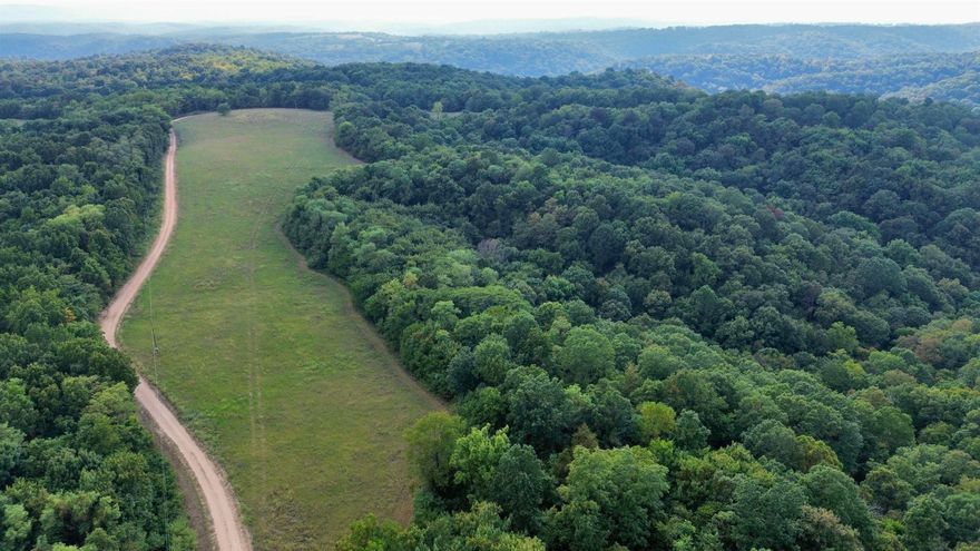 This 86-acre property is a true gem tucked away in the Ozark Mountains. With a county road bordering the land and both electric and rural water nearby, it’s perfectly set up for a future home, cabin, or shop. 13 acres of cleared ground provide the ideal spot for a residence, garden, pasture, or livestock setup—while still leaving plenty of wooded acreage to enjoy. Beyond the open land, miles of well-maintained trails wind through the rolling terrain. These trails make it easy to explore on foot, ATV, or horseback while taking in the natural beauty of the Ozarks. For outdoor enthusiasts, the hunting here is exceptional—whitetail deer, wild turkey, and even the occasional black bear roam these woods, offering endless recreational opportunities. The property also holds marketable timber, primarily white oak, black oak, and hickory. Not only does this add long-term investment value, but it also enhances the habitat for wildlife and creates a scenic setting of mature timberland. Whether you’re looking for a place to build your dream home in Arkansas, a private hunting retreat, or a land investment, this Ozark Mountain property offers it all—priced at just $199,900.