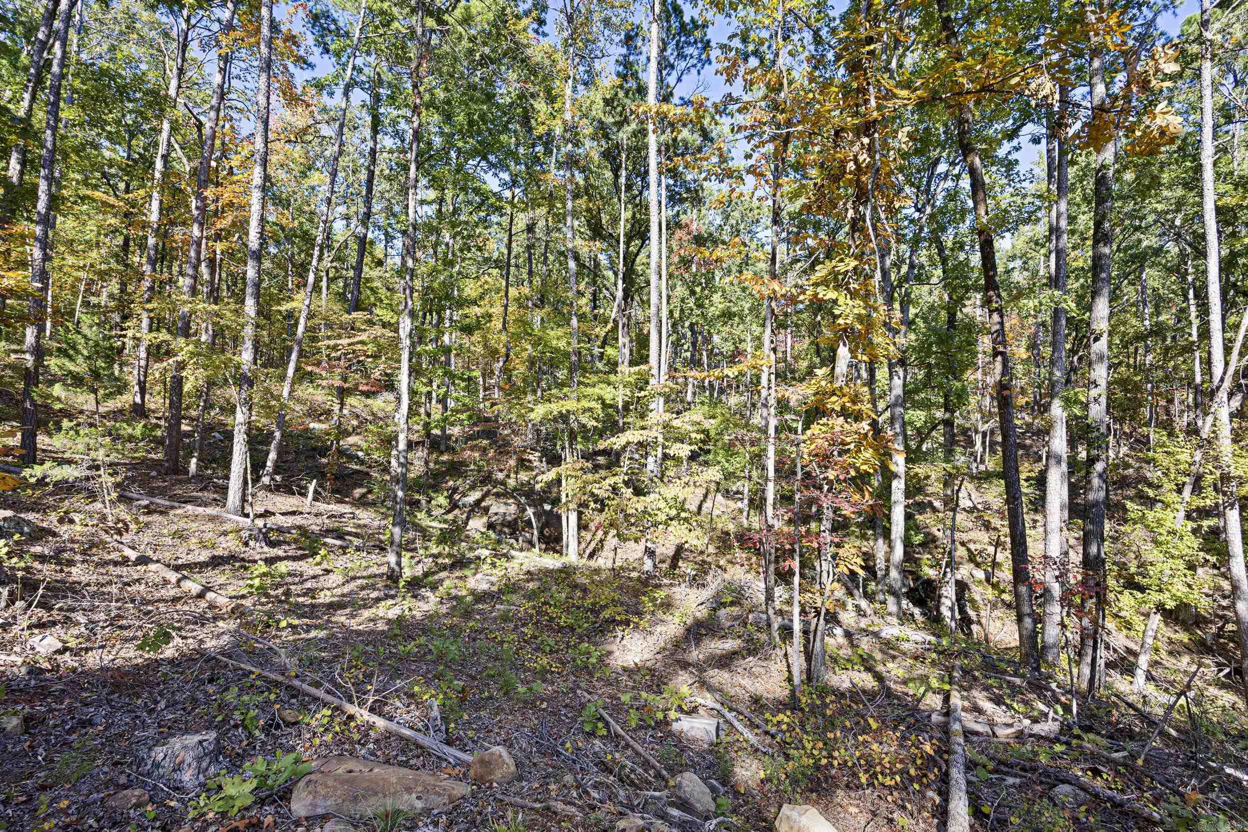 Not in Subdivision - Land