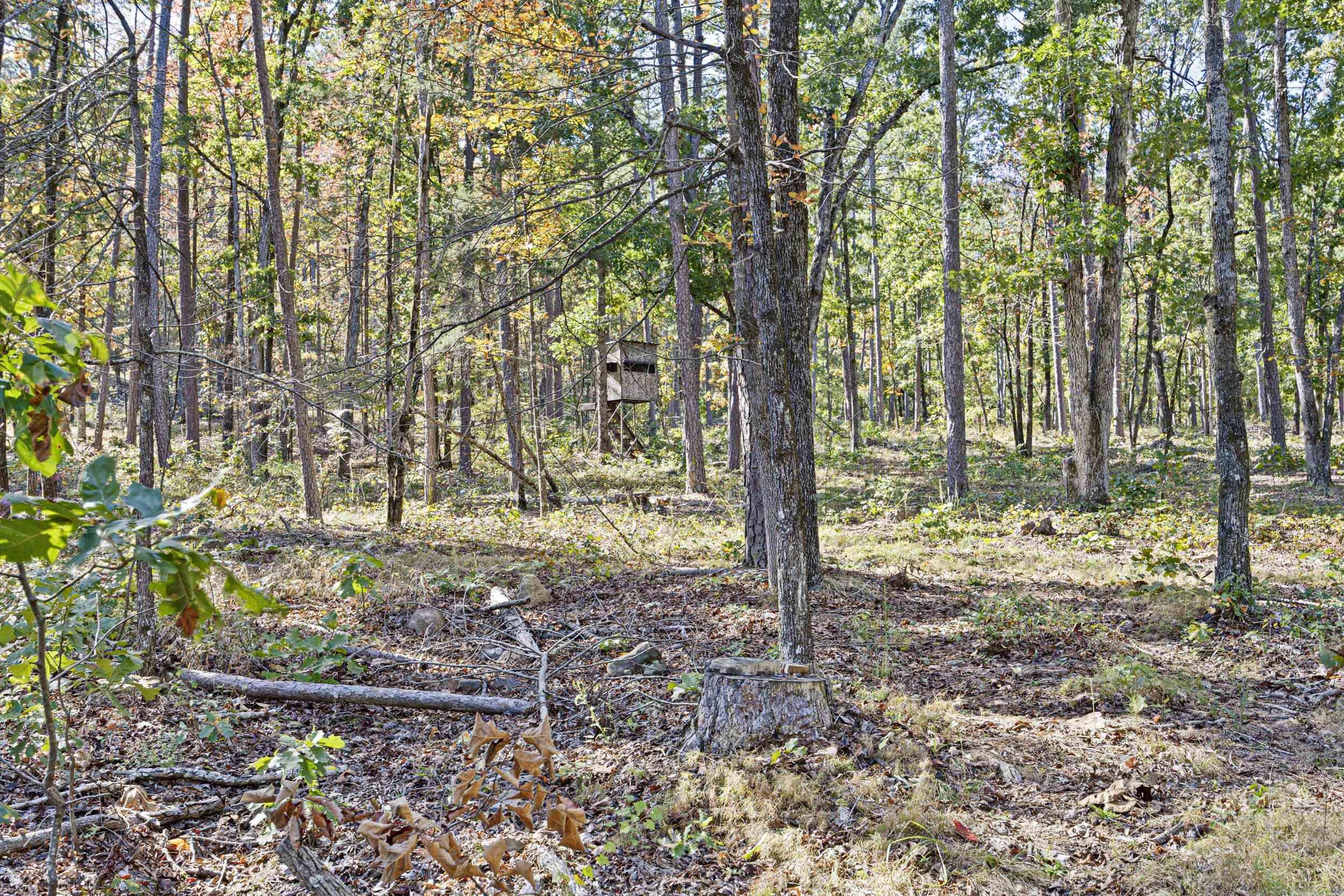 Not in Subdivision - Land