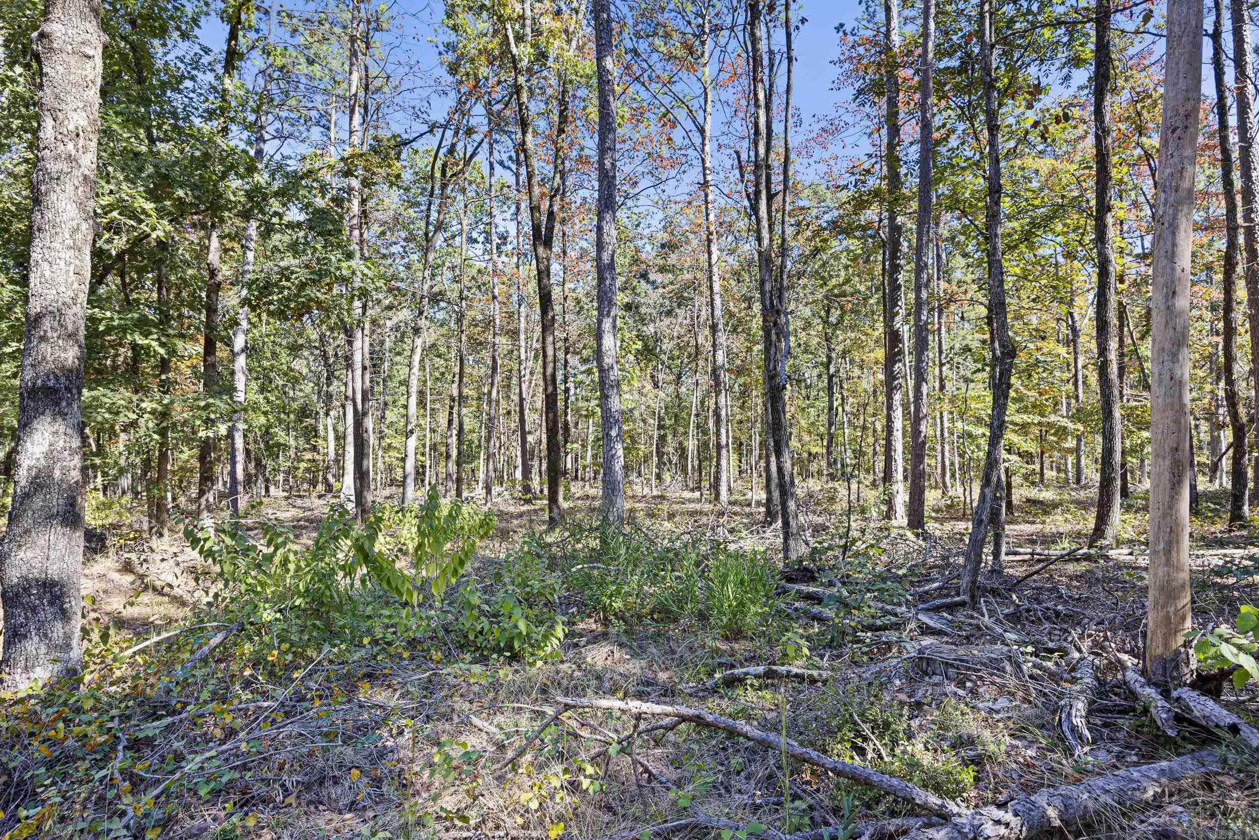 Not in Subdivision - Land