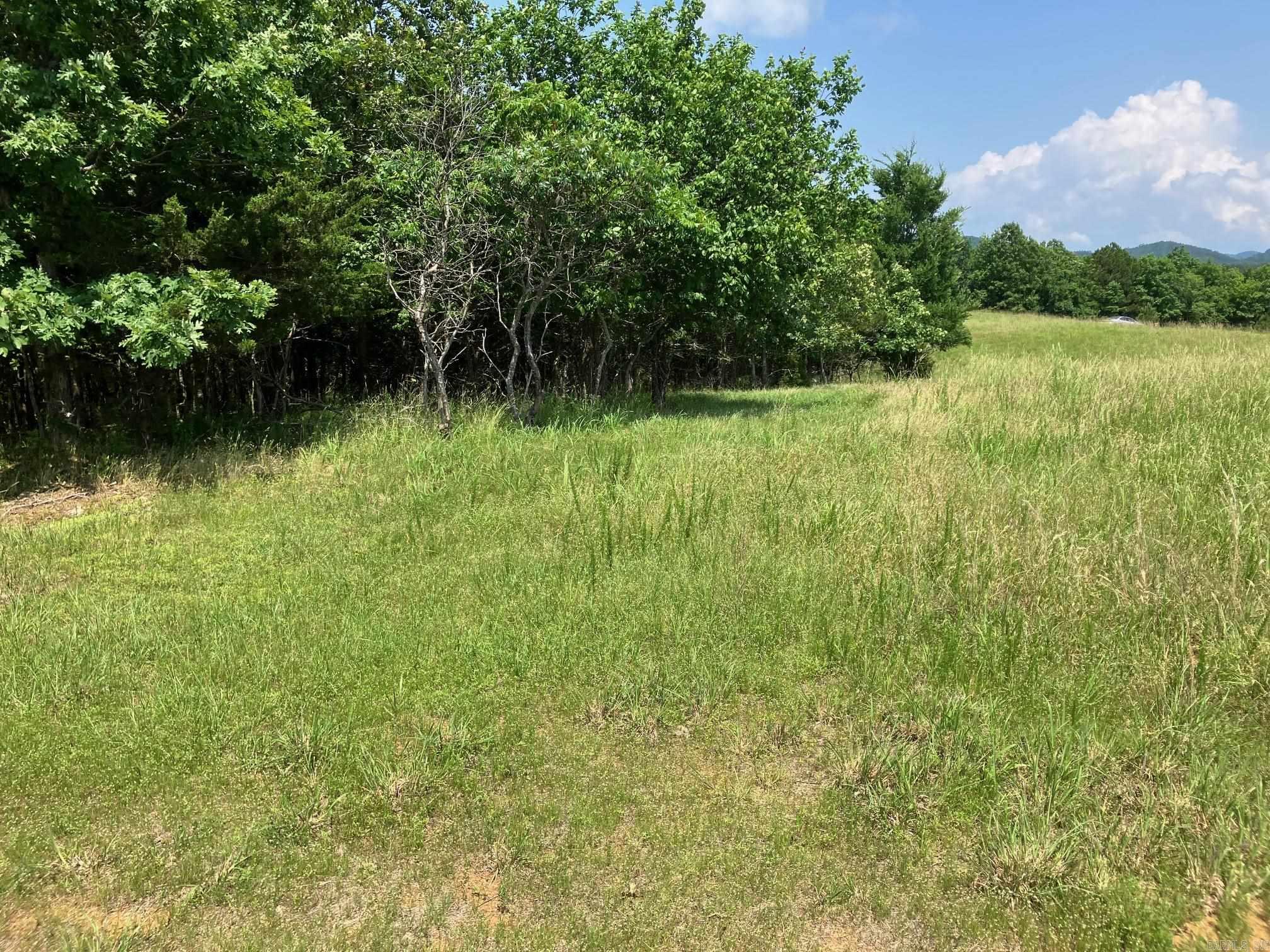 Tract 2: 3 acre parcel that has Cabin site is tucked into the trees behind the grassy entry area. Nice fairly level area will make fabulous spot for a home/cabin site, but with enough trees to shield from private lane and the tracts next to and below it. Many nice trees that could stay, others could be thinned to open up a view. Very close to the Ouachita Forest trails. Can ride an ATV all the way to Wolf Pen Gap Trail System. See map in pictures. This lot is in a location that is quiet and peaceful yet only 7.7 miles to Mena, AR. Septic system and well is needed. Each lot was carefully laid out to give each site areas of trees/draws between the sites making each feel like your own forested oasis. These lots are in a location that would make really amazing sites to build a weekend cabin or a full time residence and at a price that is hard to beat. Survey is completed, tract 4 and tract 5 both perc tested for standard septic systems.