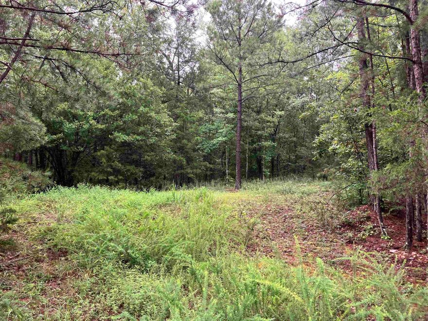 Tract 2. 3 acres M/L close to Pencil Bluff. 5 minute walk to deeded easement to Ouachita River or ride your 4 wheeler or side by side. Great place to swim, picnic, or just take it easy! This wooded property is ready for your dream home to be built! 10 minutes to hiking/biking trail head. 20 minutes to Lake Ouachita. 50 minutes to Hot Springs. If you are looking for a quite, wooded place to build, this is it. No mobile or manufactured homes. No commercial activity.