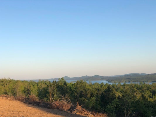 19 LAKEVIEW CIR, MAYFLOWER, AR 72106 - Image 2235e1c97b8fbd4bcec9701b19db8c3a/705058073