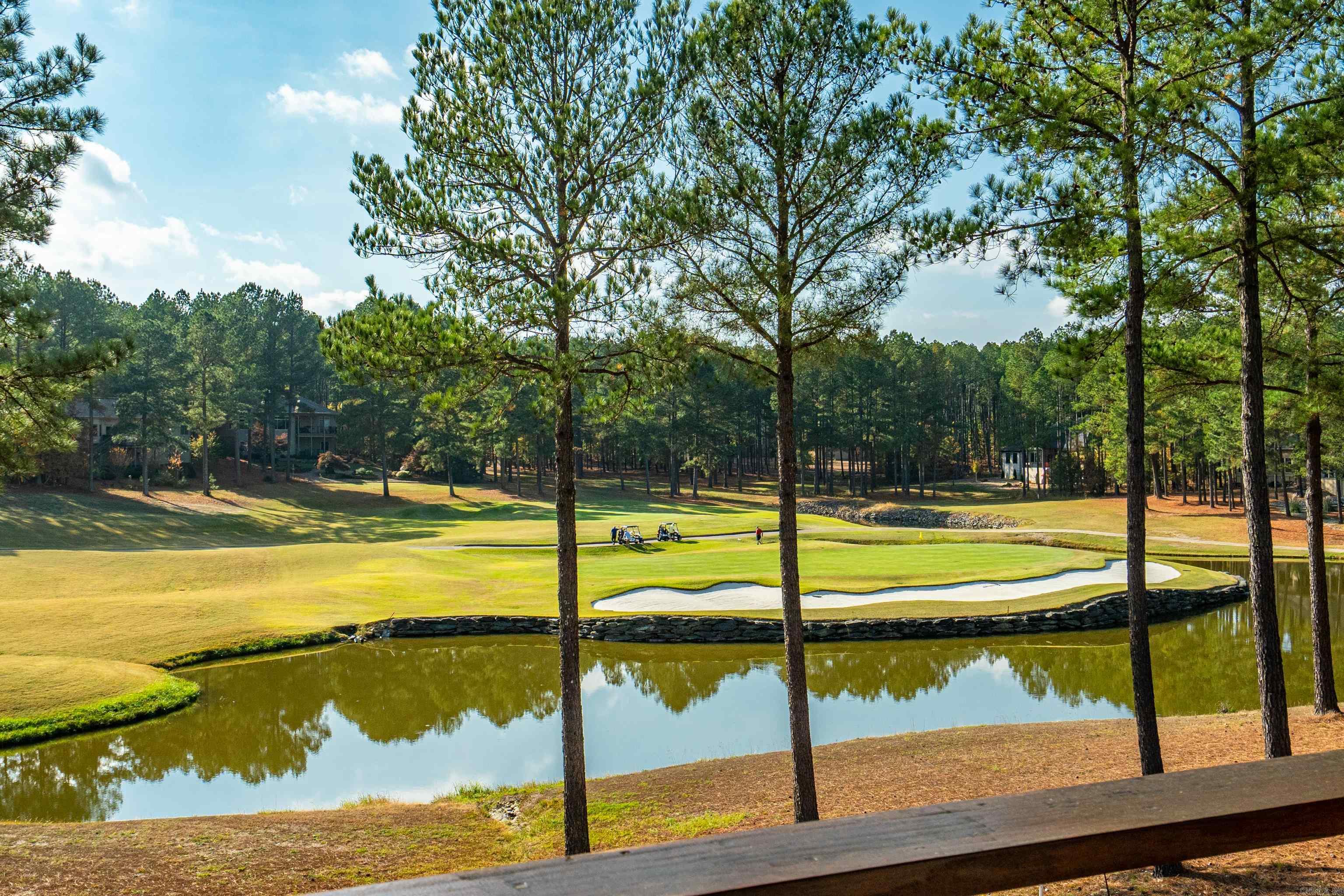 ALTA VISTA - Residential