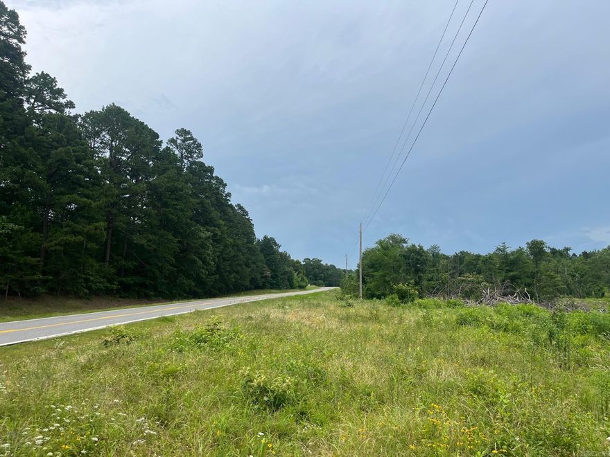 This 30+/- acre tract in Clark County has frontage along Highway 84 with electricity, fiber internet, and municipal water at highway. The pine timber was recently harvested leaving the hardwoods which make the property ideal for rural residential with mountains in the backdrop. Hunt or ride trails right out your back door. The property is near Point Cedar, between Amity and Bismarck. $2,900/Acre (Survey Pending)