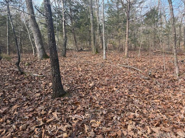 Not in Subdivision - Land