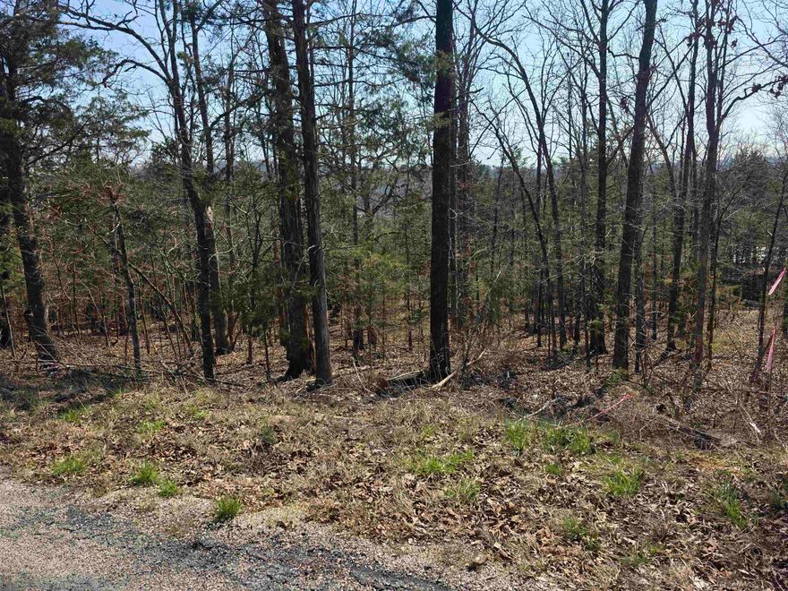 Nice lot with a gentle front to back downward slope. Lots of trees and lots of nature and wildlife. Come check this lot out, check out the view and see where you want to put your vacation home or your forever home. Retire here and fish 7 different lakes and golf 2 different 18-hole golf courses. Don't forget about the beautiful South Fork River that flows right through the Village. Shop in Old Hardy town and trout fish the Spring River. That's living the Cherokee Village lifestyle.