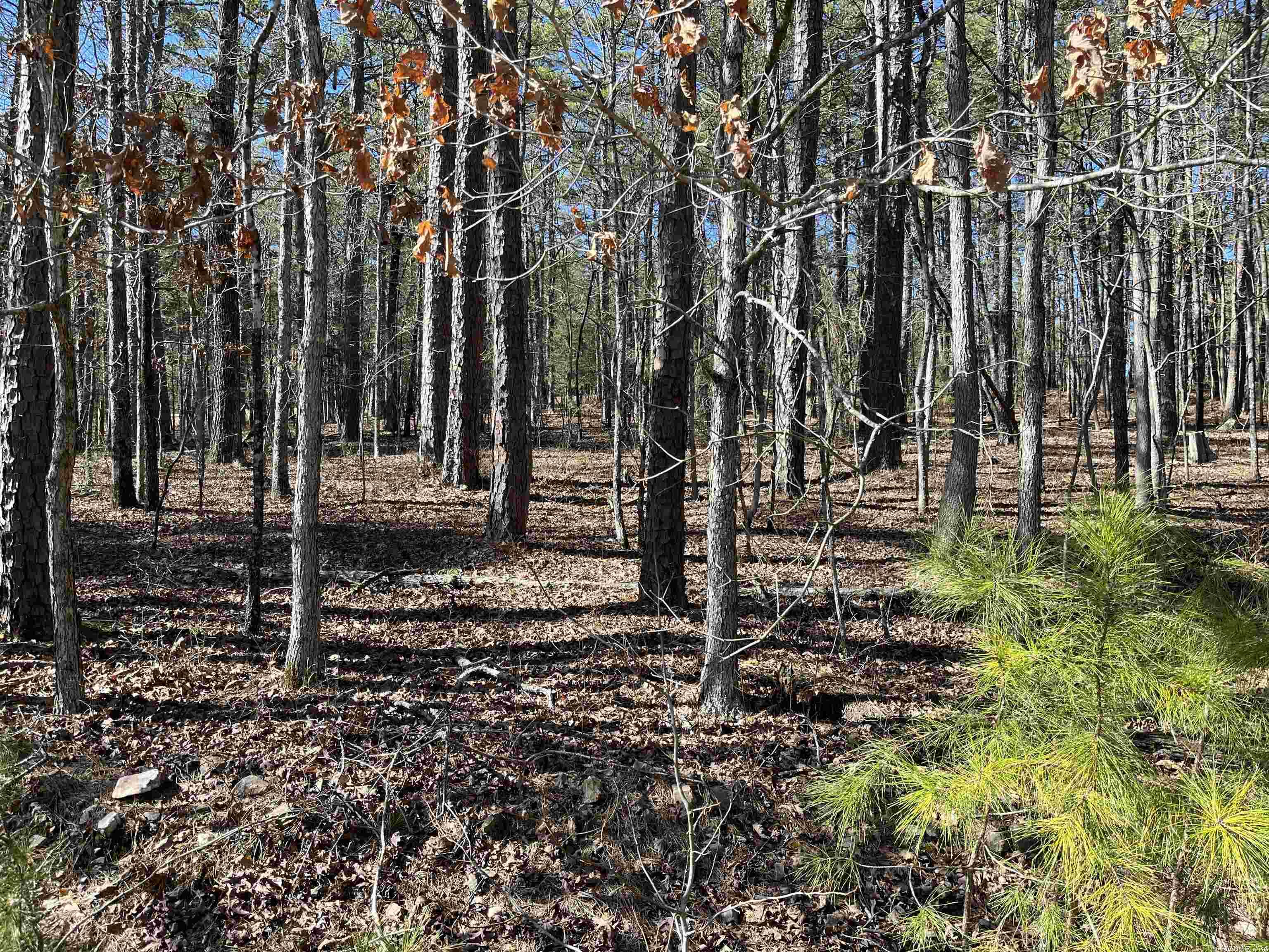This is a great lot to build your dream home, second home, or vacation rental. A cul de sac and utilities are close by, along with a new build in the vicinity. Come see what the beautiful Hot Springs Village has to offer, and experience "Village" life with its 12 lakes, 9 professionally designed golf courses for year-round golfing, walking trails, biking trails, numerous clubs, in one of the largest, private, gated communities in North America.