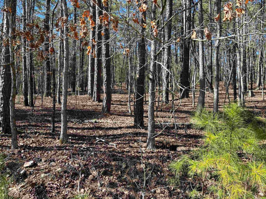 This is a great lot to build your dream home, second home, or vacation rental.   A cul de sac and utilities are close by, along with a new build in the vicinity. Come see what the beautiful Hot Springs Village has to offer, and experience "Village" life with its 12 lakes, 9 professionally designed golf courses for year-round golfing, walking trails, biking trails, numerous clubs, in one of the largest, private, gated communities in North America.