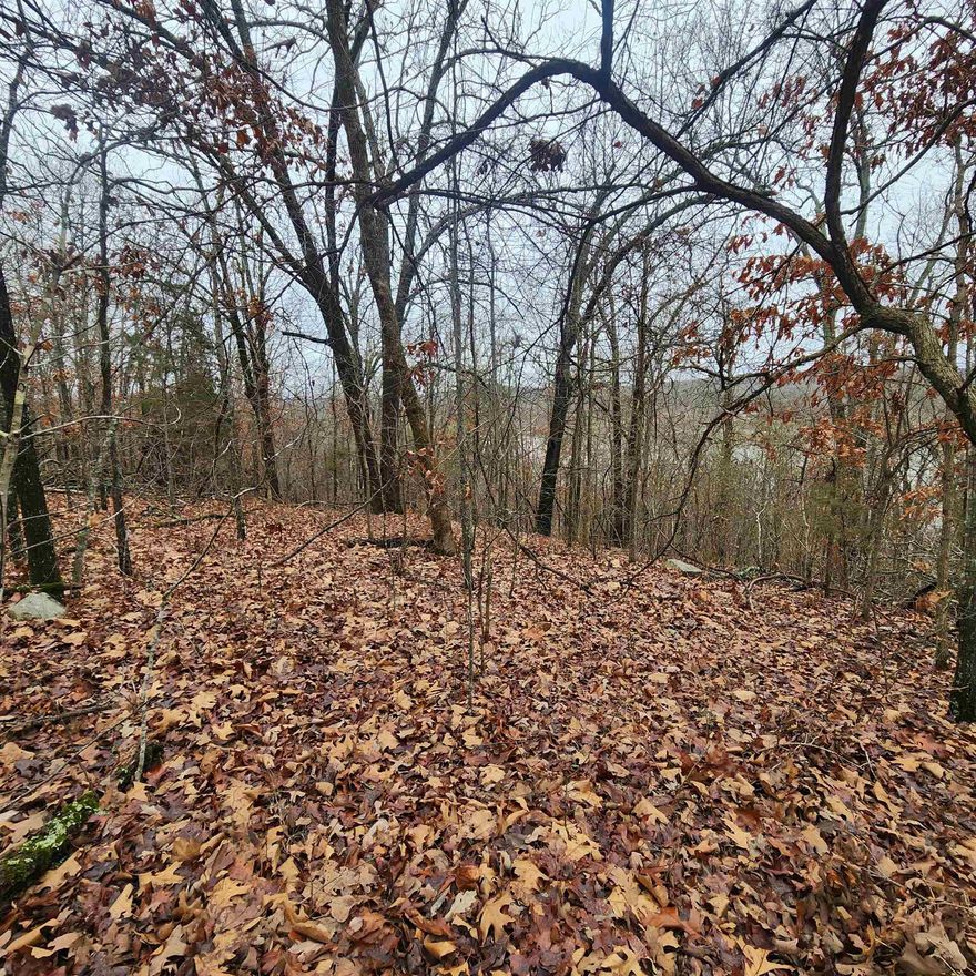 Fantastic Views for you, from this hilltop lot high above Lake Vagabond in beautiful Ozark Acres. This wooded 1/2-acre lot sits at the peak of a hill on the North side of the Lake. You can have breathtaking views of the lake and vista views of the Ozark Foothills. Beautiful hills, lakes, and rivers will surround you on all sides here. Conveniently located near 4 parks, and 2 lakes. You'll have plenty to keep yourself busy. Lake Vagabond, the closer and larger of the two lakes, is a manmade lake suitable for fishing and swimming. You can choose to swim at Vagabond beach or enjoy quality time with your family at the parks and playground. Come view this lot and pick your building spot for your forever home or vacation cabin with the best view in the Acres.  *The lot next door may be able to be purchased as well. Just in case you need more room.*