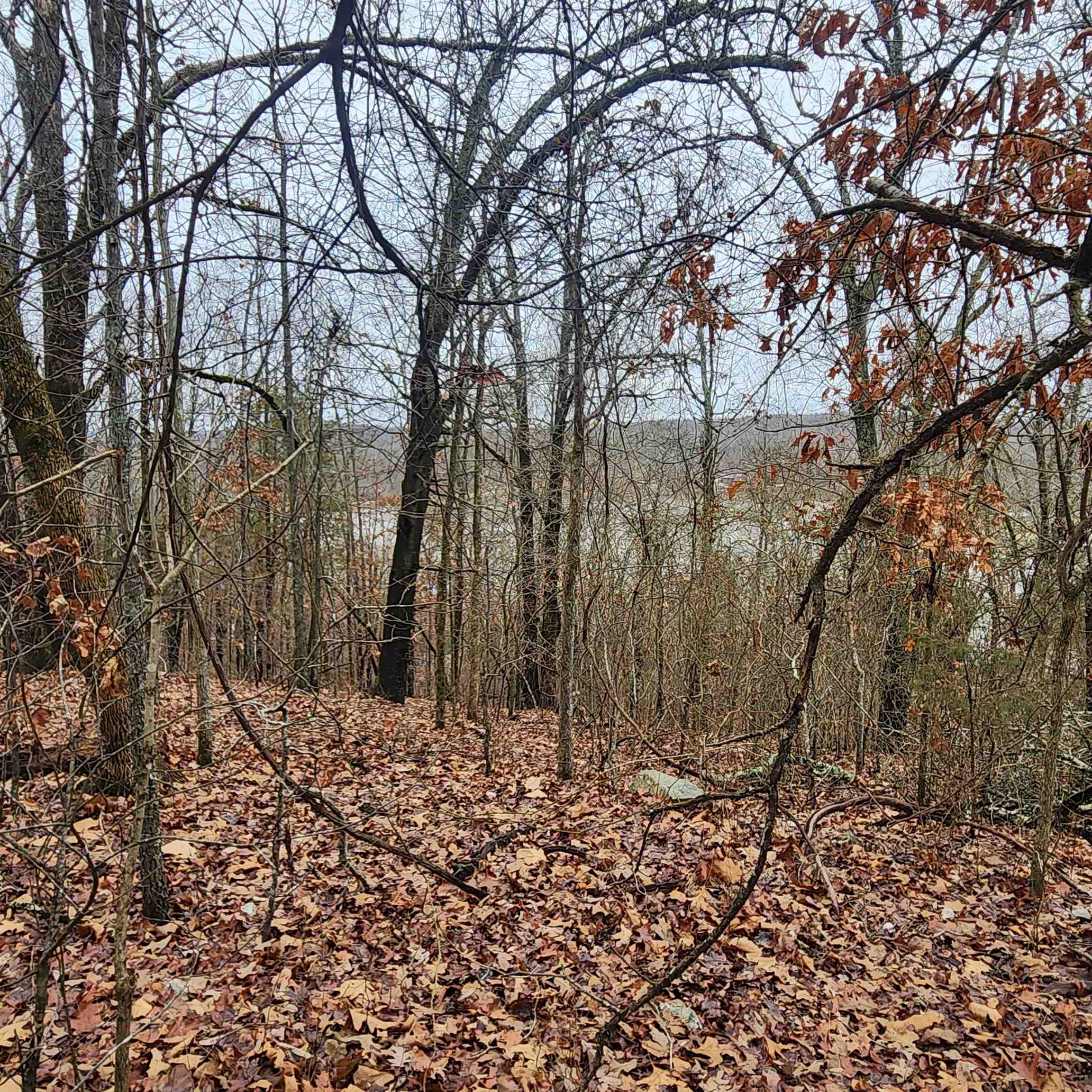 Vagabond Heights - Land