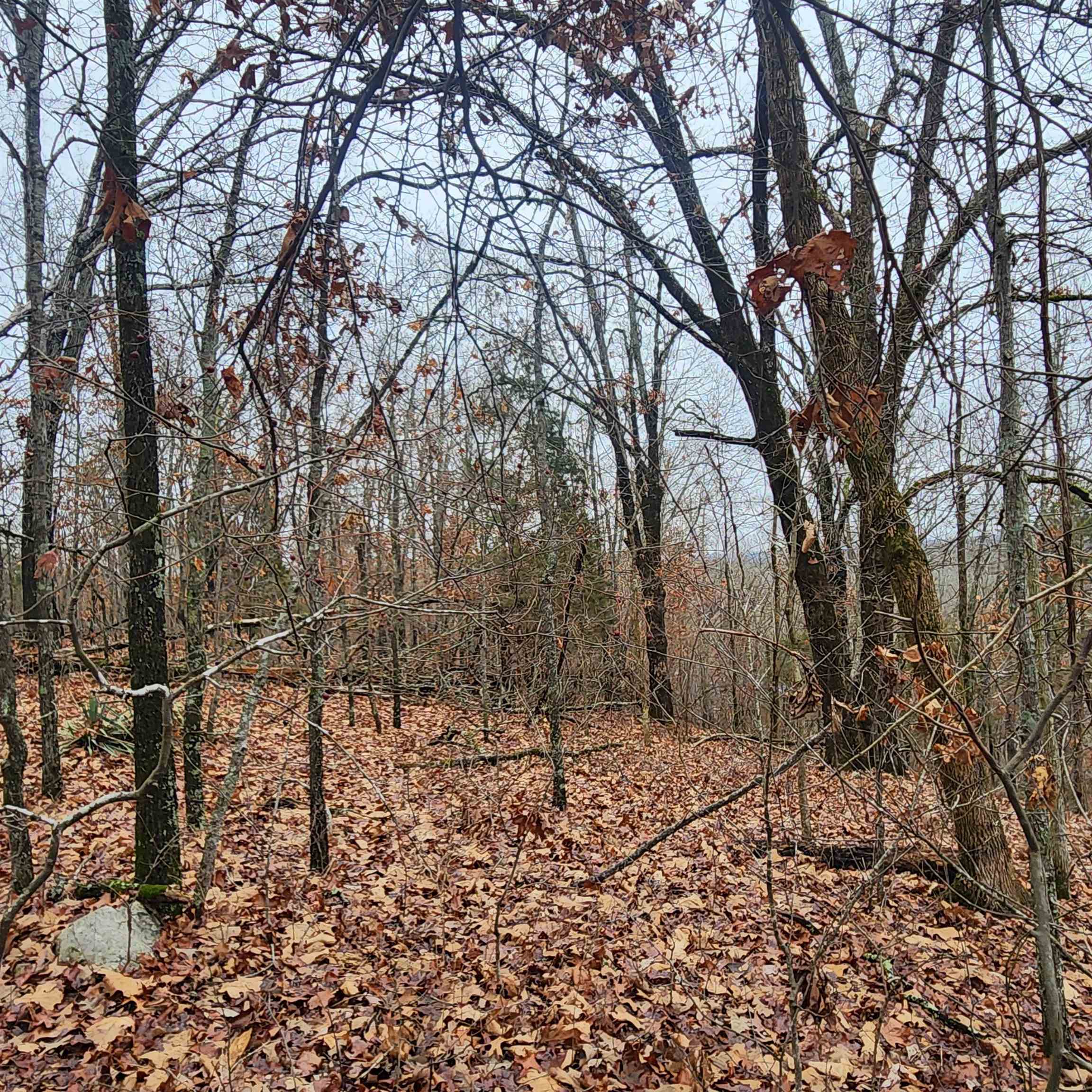 Vagabond Heights - Land