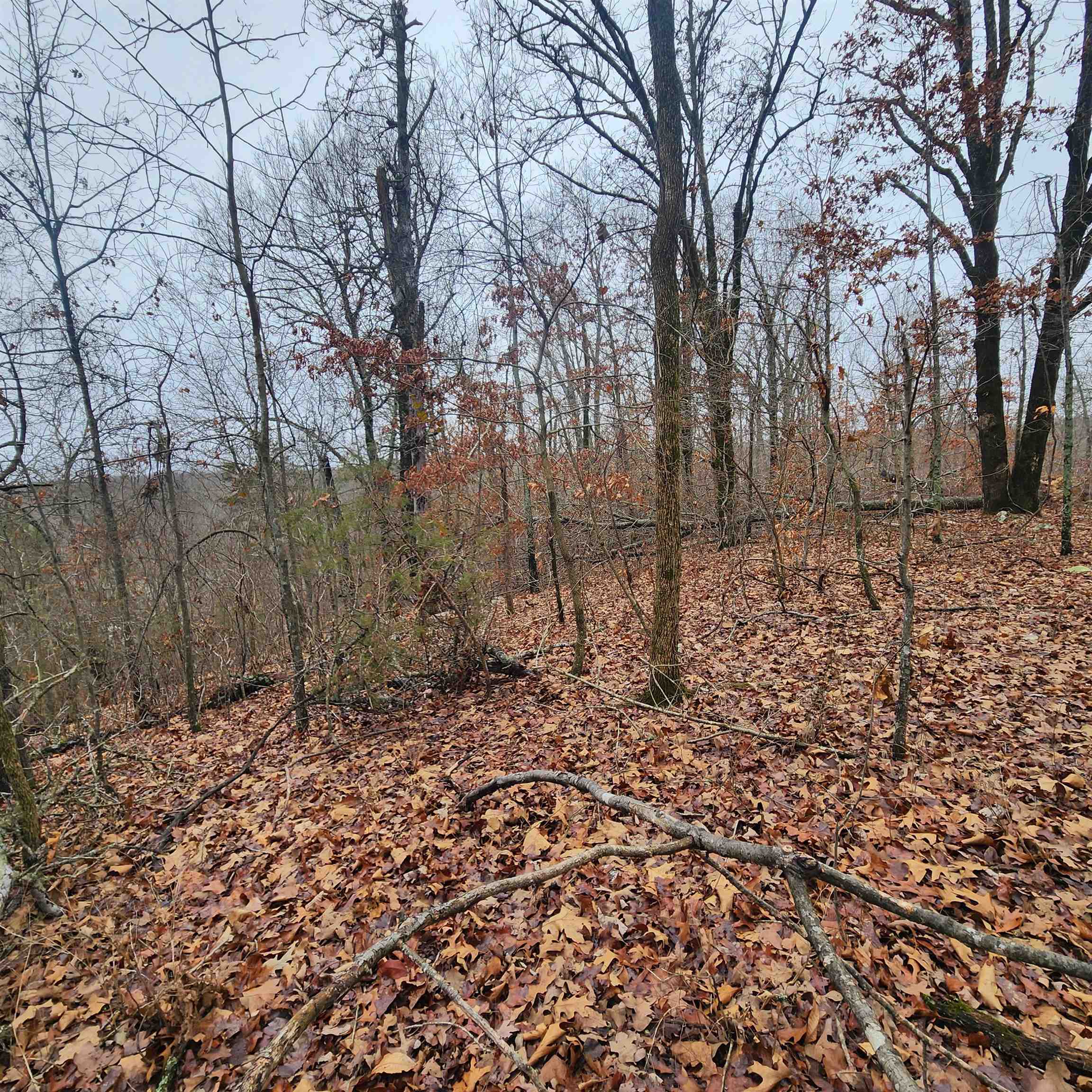 Vagabond Heights - Land