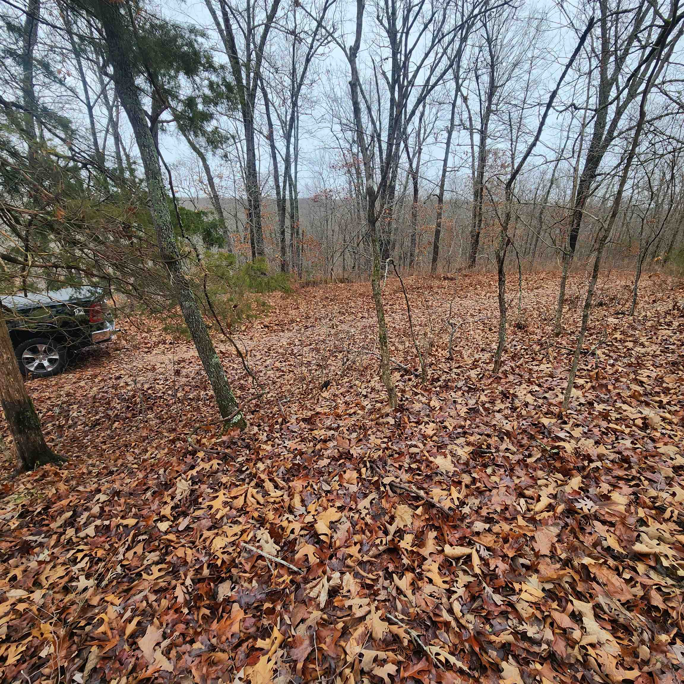 Vagabond Heights - Land