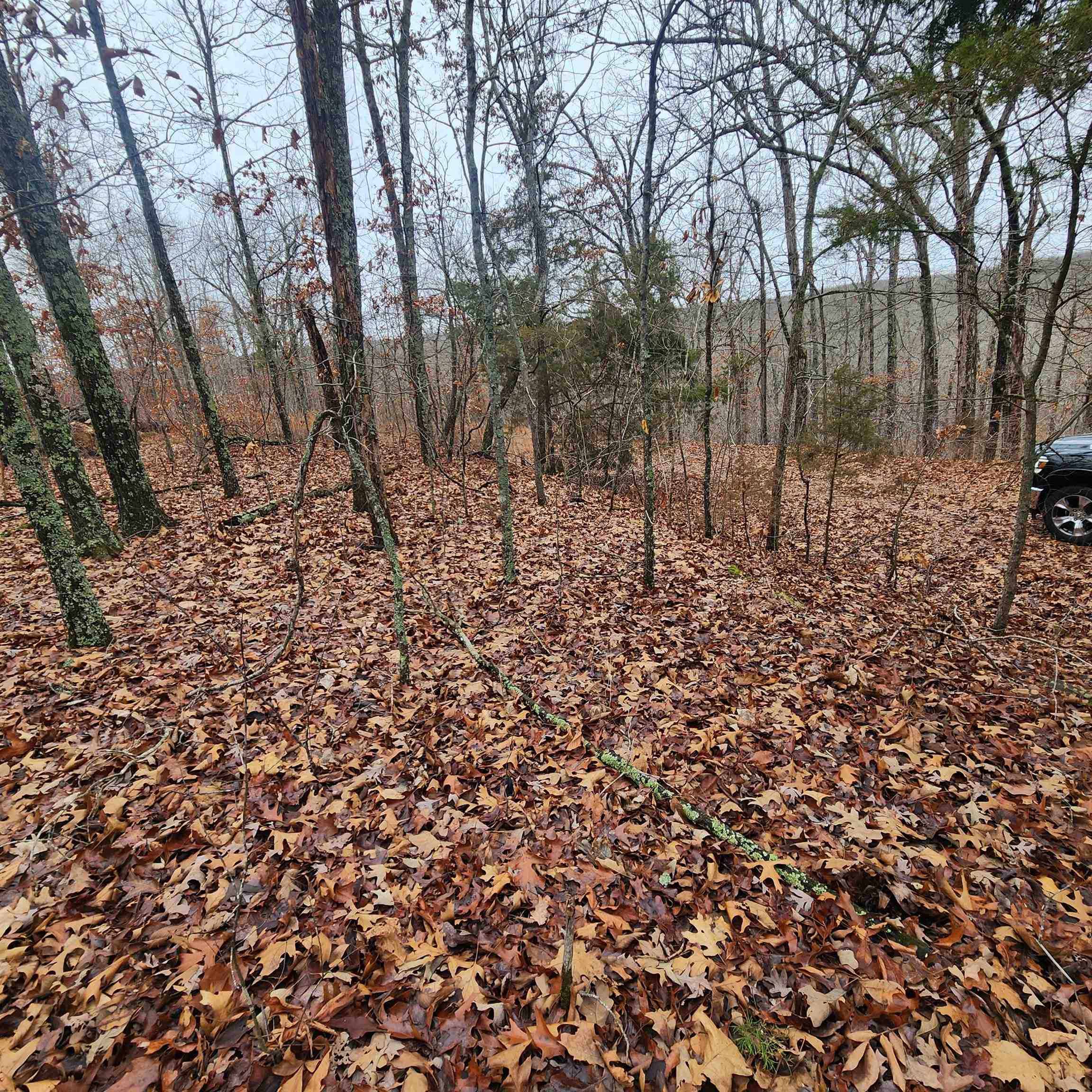 Vagabond Heights - Land