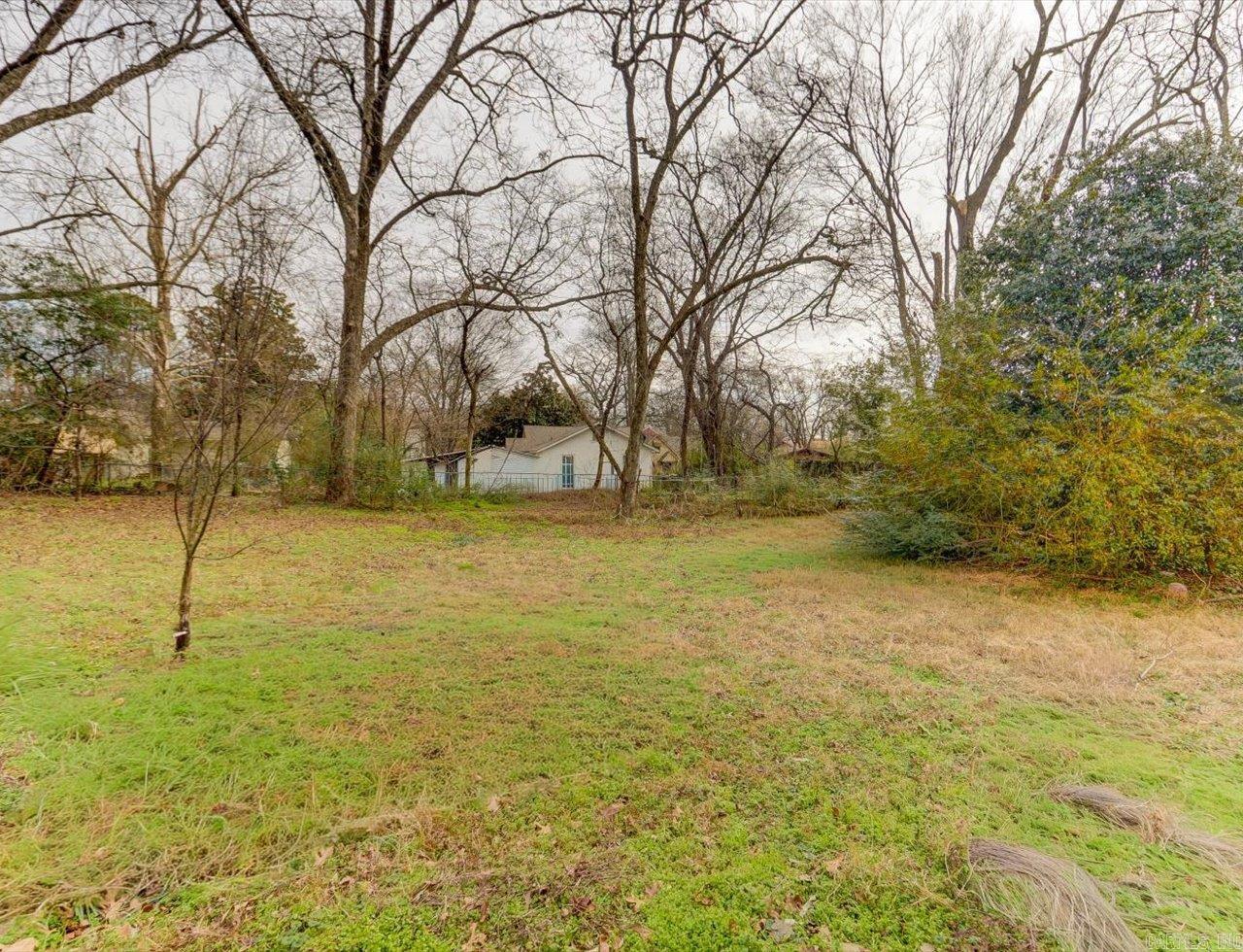 Hot Springs Unplatted - Residential