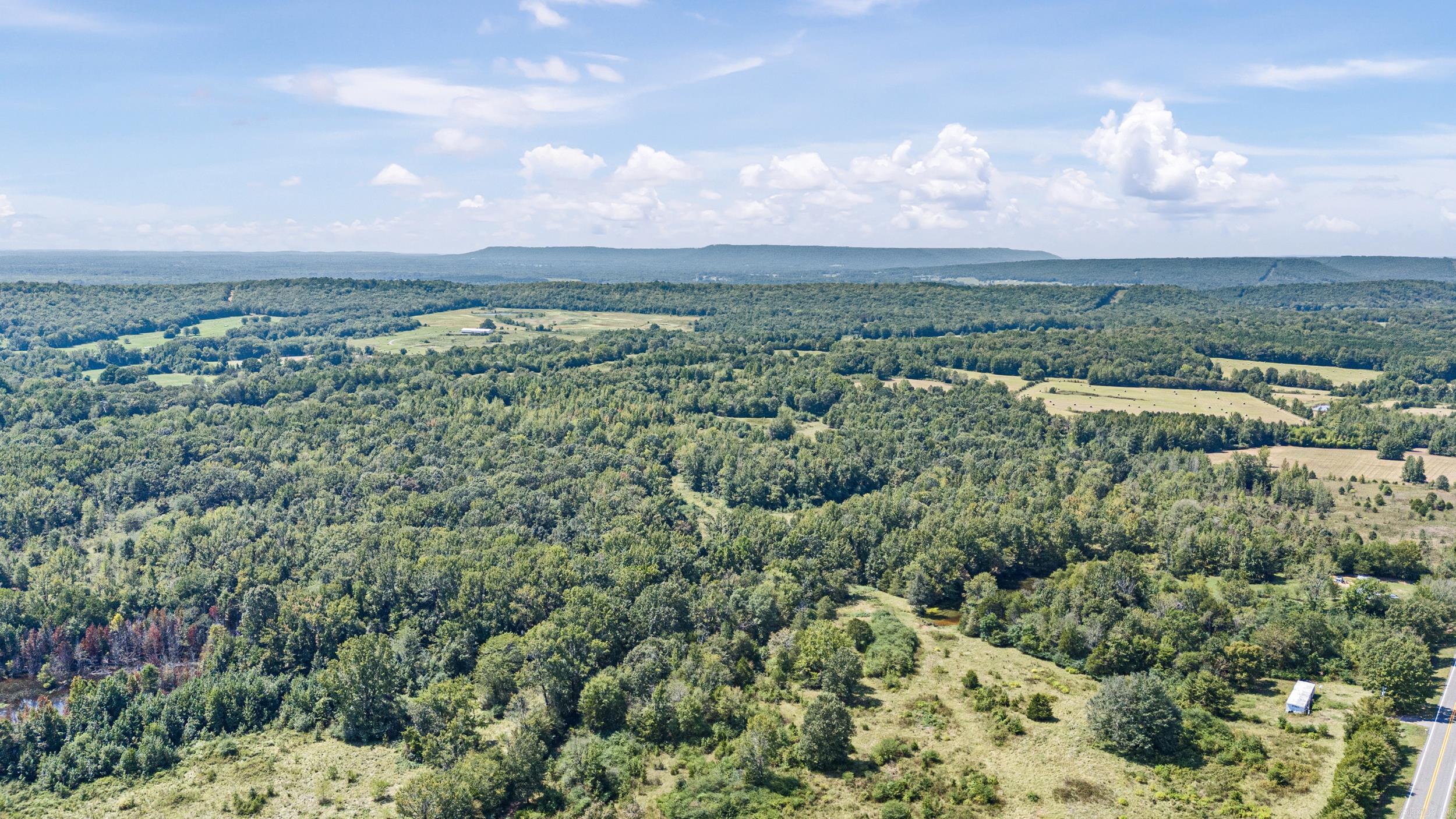 97 Acres Great views overlooking pastures and woods below a fantastic building site just waiting for a country porch to sit on while you watch the cattle (and maybe a deer) feed below. NO MINERALS CONVEY. There is a large powerline traversing the south portion of the tract. Some portions of this tract. Some pictures may include a portion of tract 1 also for sale MLS# 2508315
