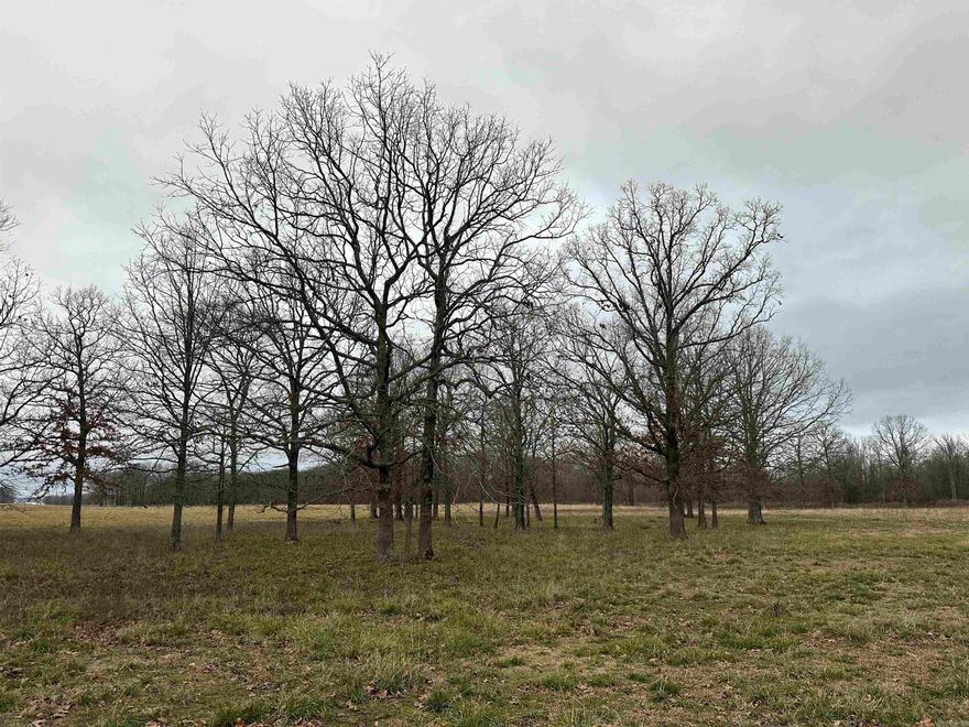 Looking for a small farm with a high percent of pasture and convenience? Look no further. The Anderson Farm South is a beautiful small farm in a convenient location less than 1/2 mile off of Hwy. 64 and 10 minutes from Beebe. This 21.5+- acres is almost all pasture with a block of mature hardwoods in the middle of the property.  This property has fencing on 3 sides. County water and electric are convenient to the property also. This property is less than 10 minutes from Beebe and less than 15 minutes from Cabot. Also, it's 10 minutes from Hwy. 67/167, and 3 minutes from Hwy. 5. (Additional acreage is available. Agent owned.)   -9 miles to Beebe. -15 miles to Cabot. -20 miles to Conway. -25 miles to North Little Rock. -25 miles to Searcy.