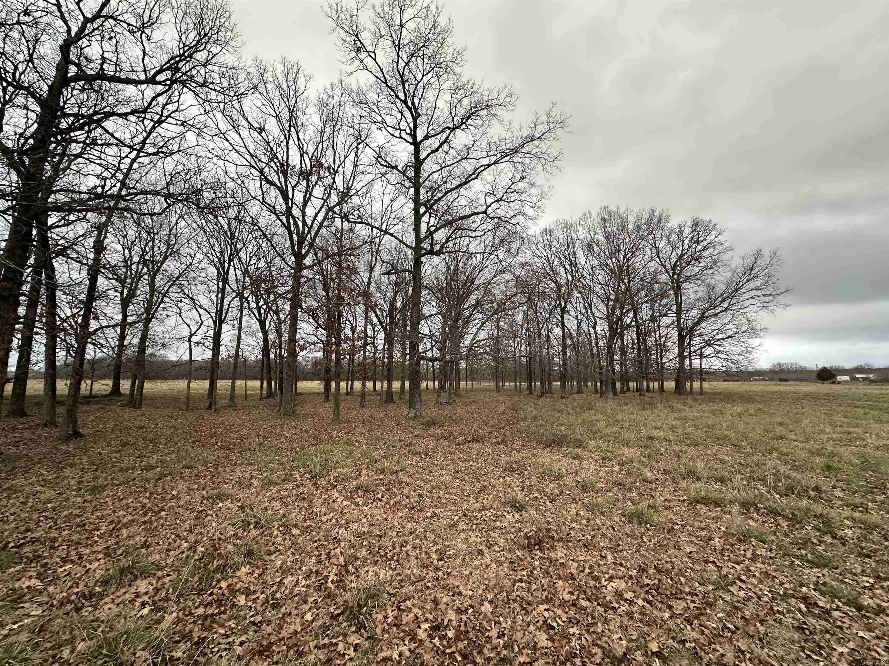 Metes & Bounds - Farm