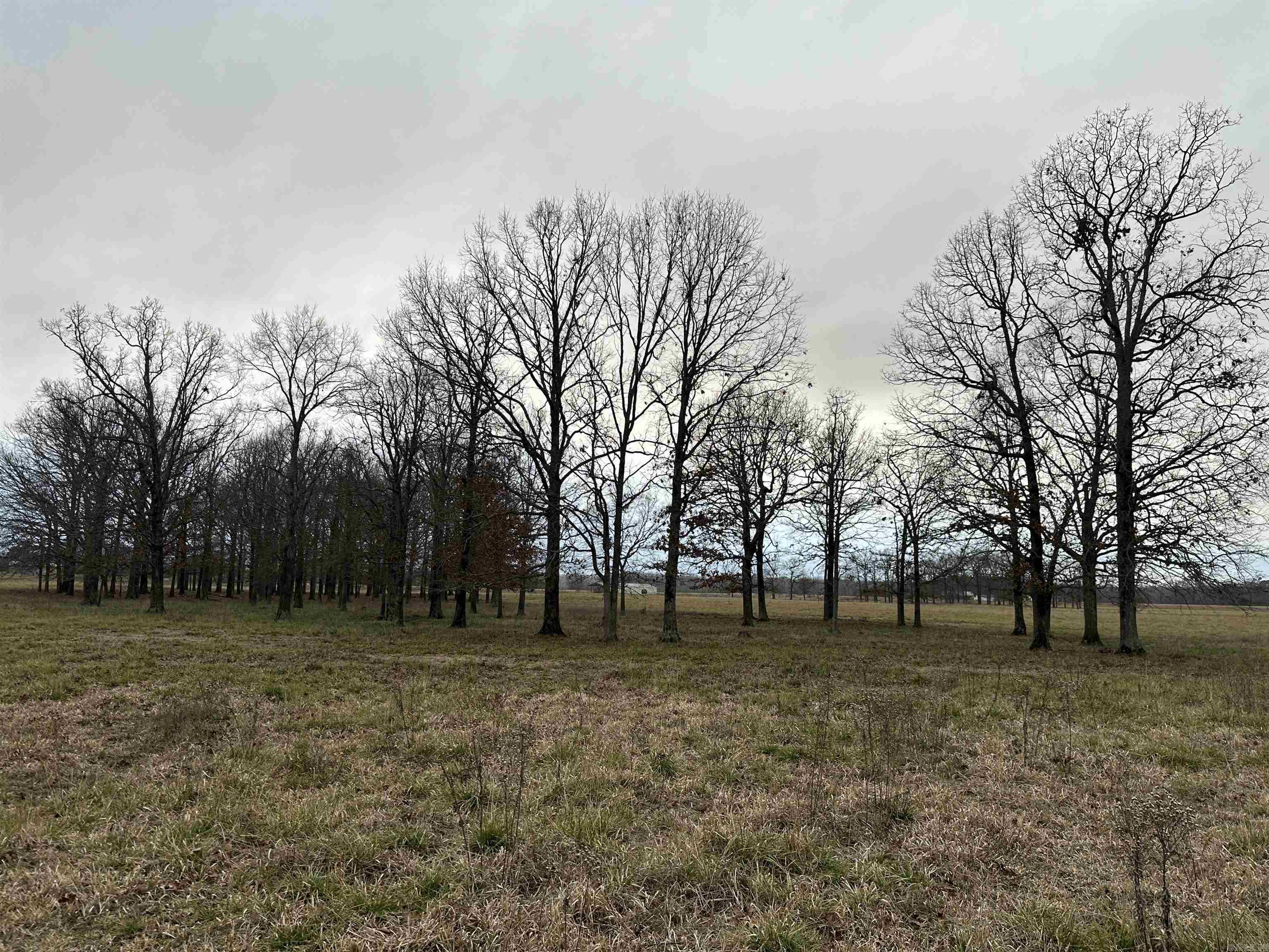 Metes & Bounds - Farm