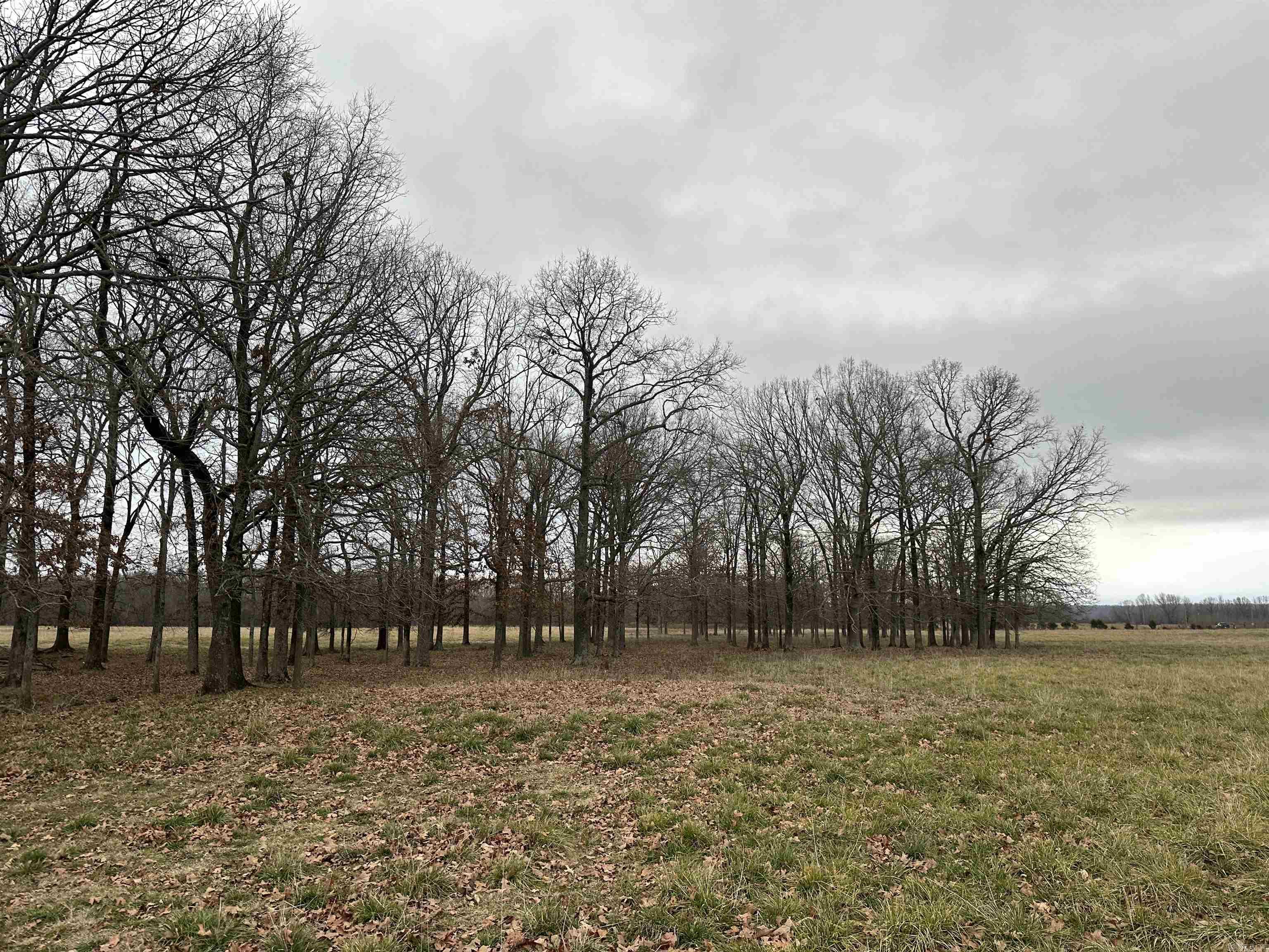 Metes & Bounds - Farm