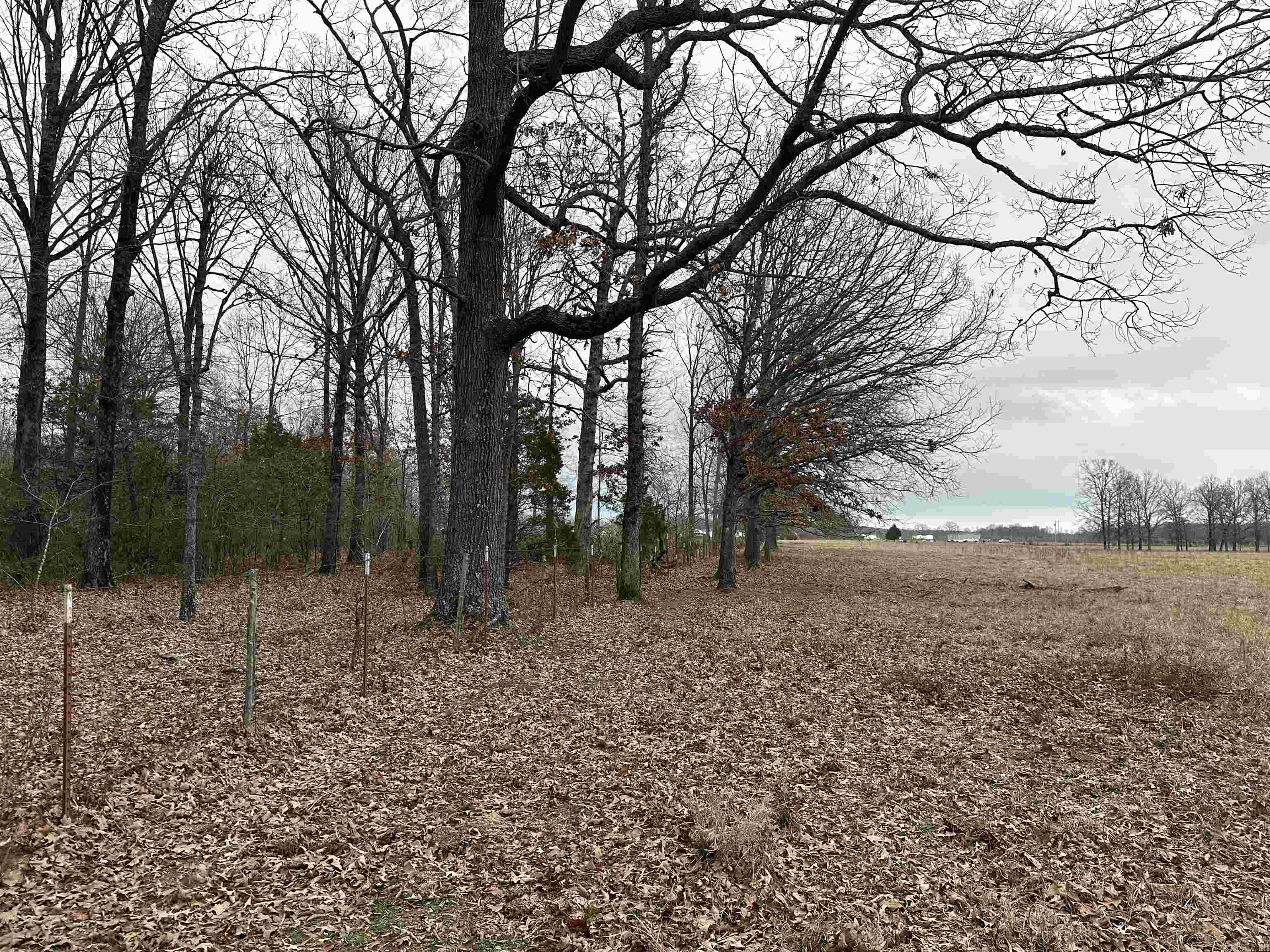 Metes & Bounds - Farm