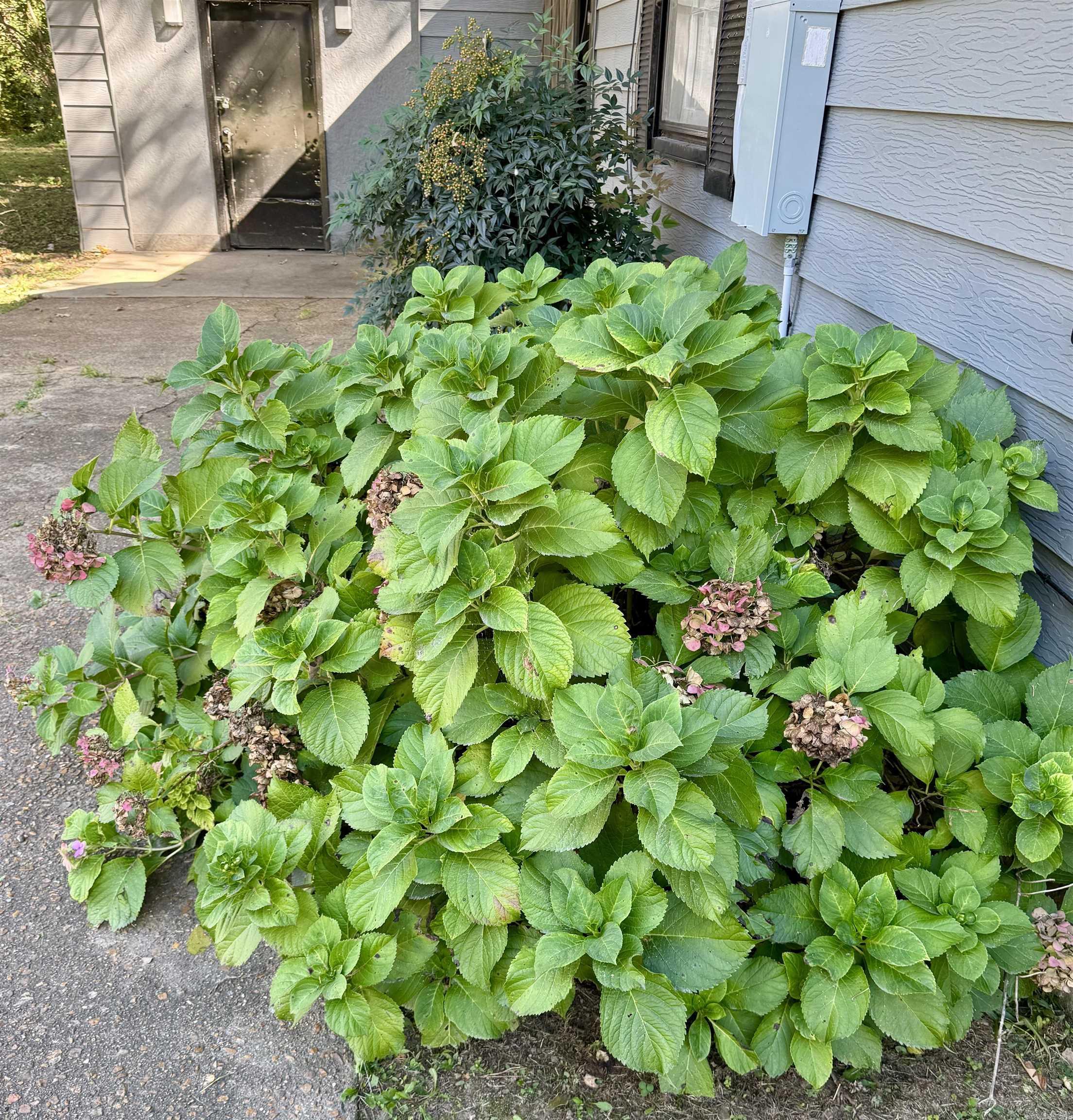 BISHOP'S - Residential