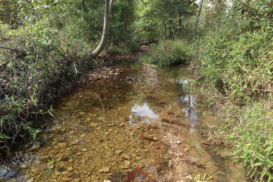 Escape to your own private Ozark haven with this exceptional 110-acre M/L property located at 253 Coyote Rd in Salem, Arkansas. This beautifully diverse landscape offers a perfect blend of approximately 10 acres of open pasture with native grasses and abundant mature timber, including a variety of majestic oaks and hickories. A true natural gem, the property features the rare and desirable amenity of live water, boasting a small, year-round stream fed by a natural spring, along with several seasonal springs that enhance the lush creek bottom. With county road frontage and electricity readily available, this land is the ideal setting to build your dream home or a secluded weekend cabin. This property is an outdoor enthusiast's paradise, offering endless recreational possibilities. It is an ideal hunting retreat with a thriving population of wildlife, including deer and turkey. Numerous trails are already established throughout the acreage, perfect for exploring on your ATV or hiking. The adventure continues beyond your property lines, as you are conveniently located within a 45-minute drive of  destinations like Lake Norfork, the Spring River, and the world-famous White River.