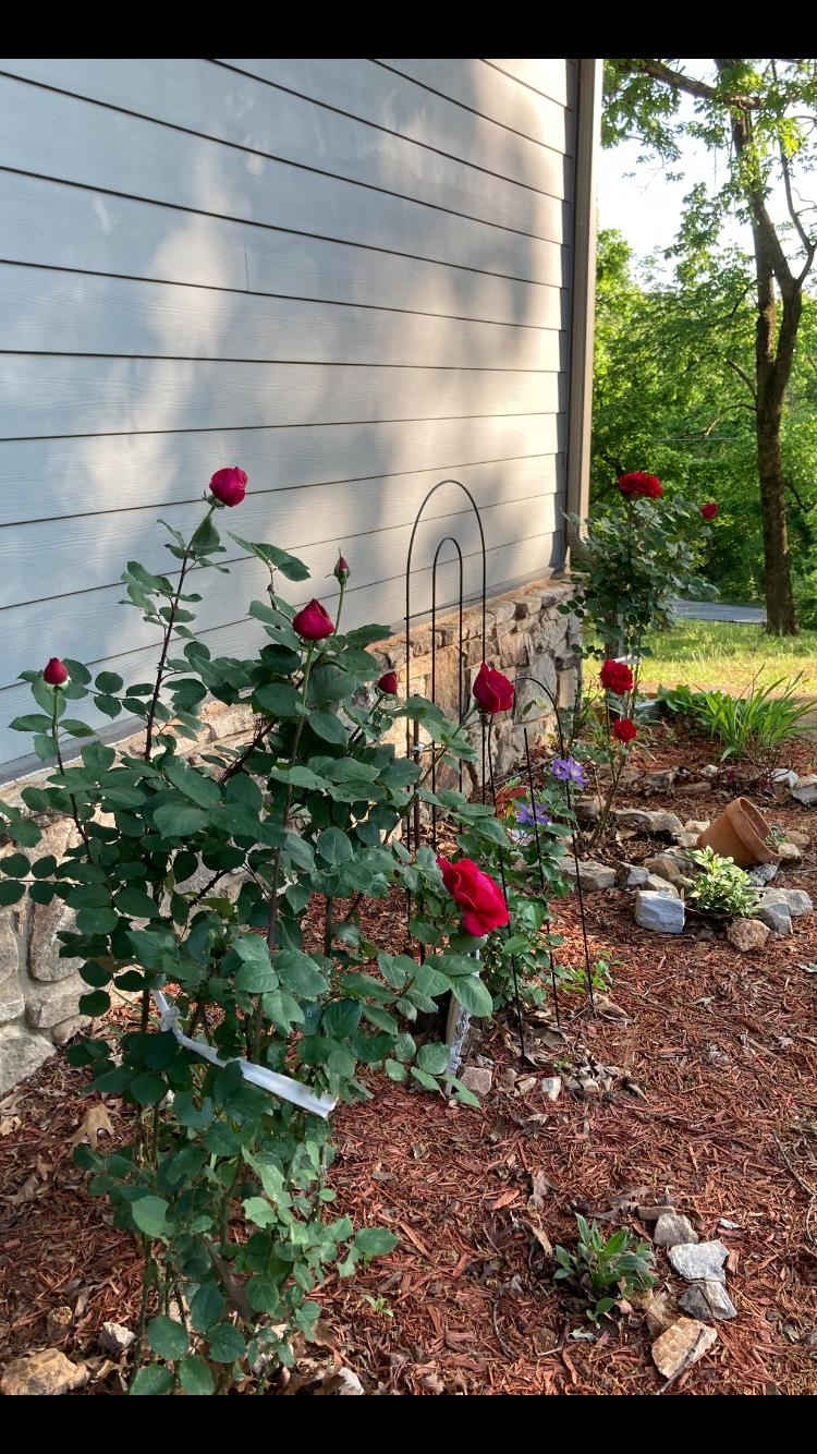 BLUFF VIEW ADDN - Residential