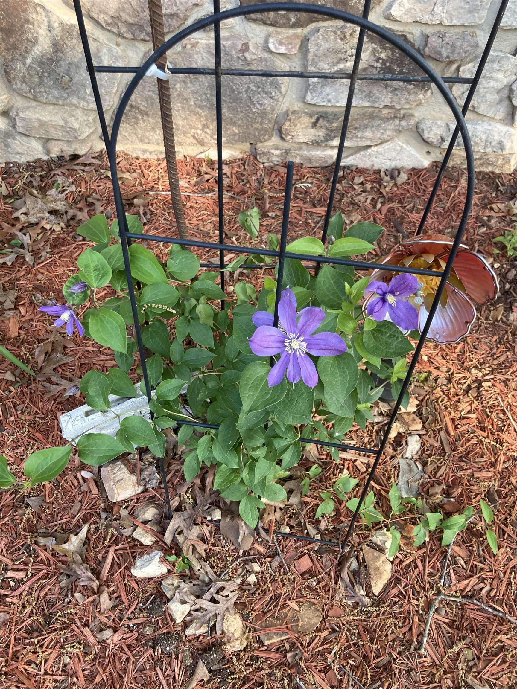 BLUFF VIEW ADDN - Residential