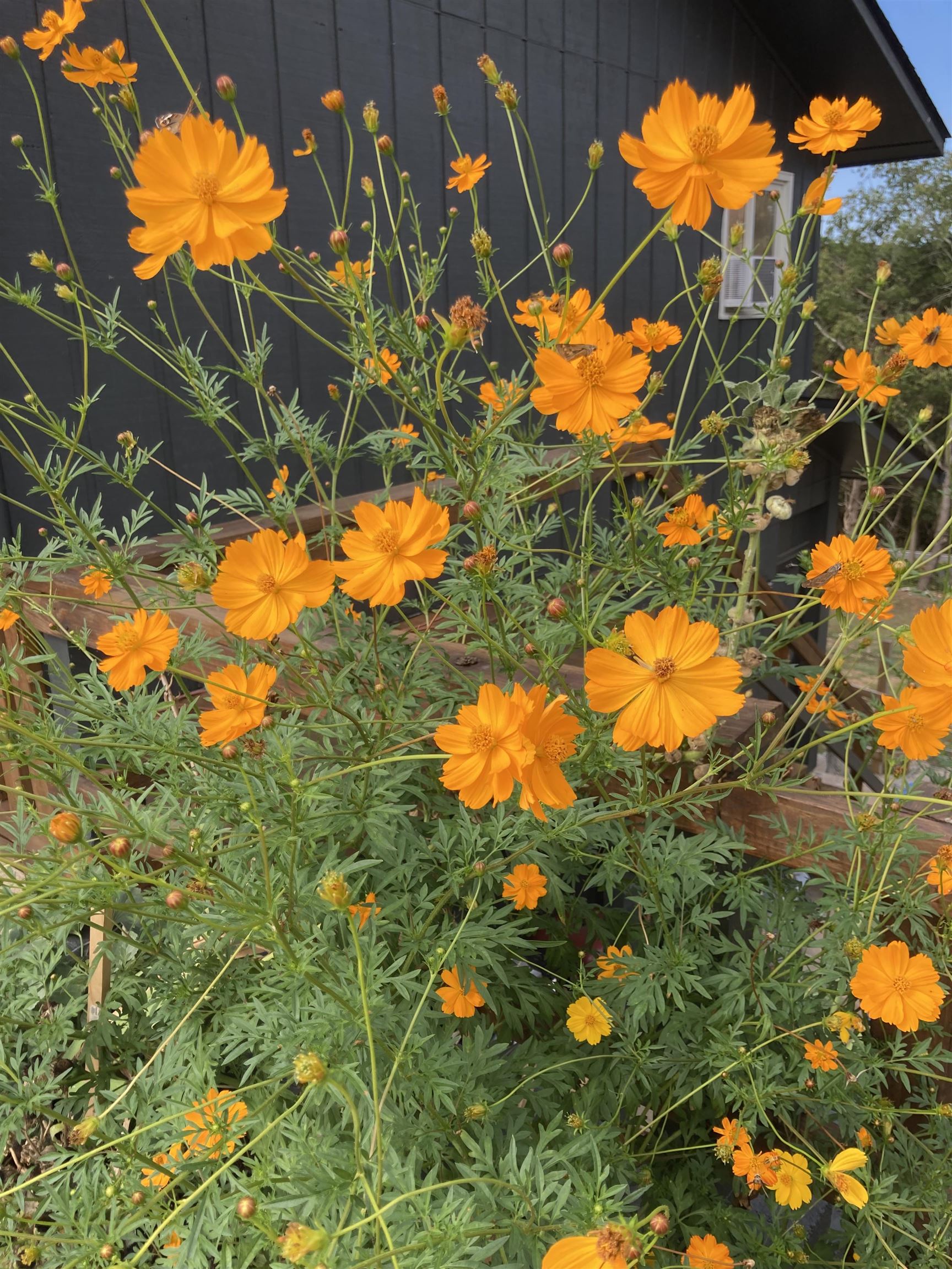 BLUFF VIEW ADDN - Residential