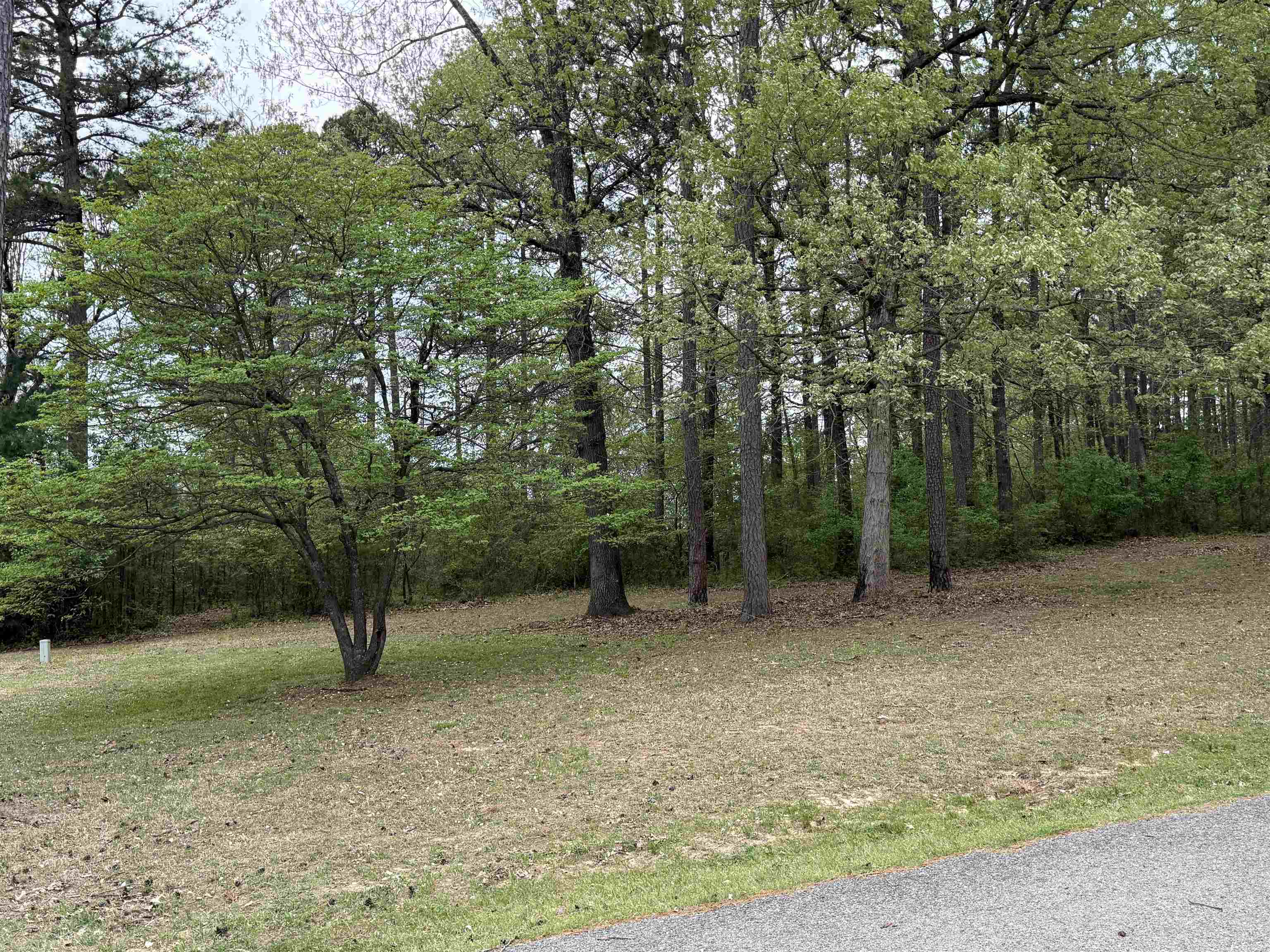 ASHLEY WOODS - Residential
