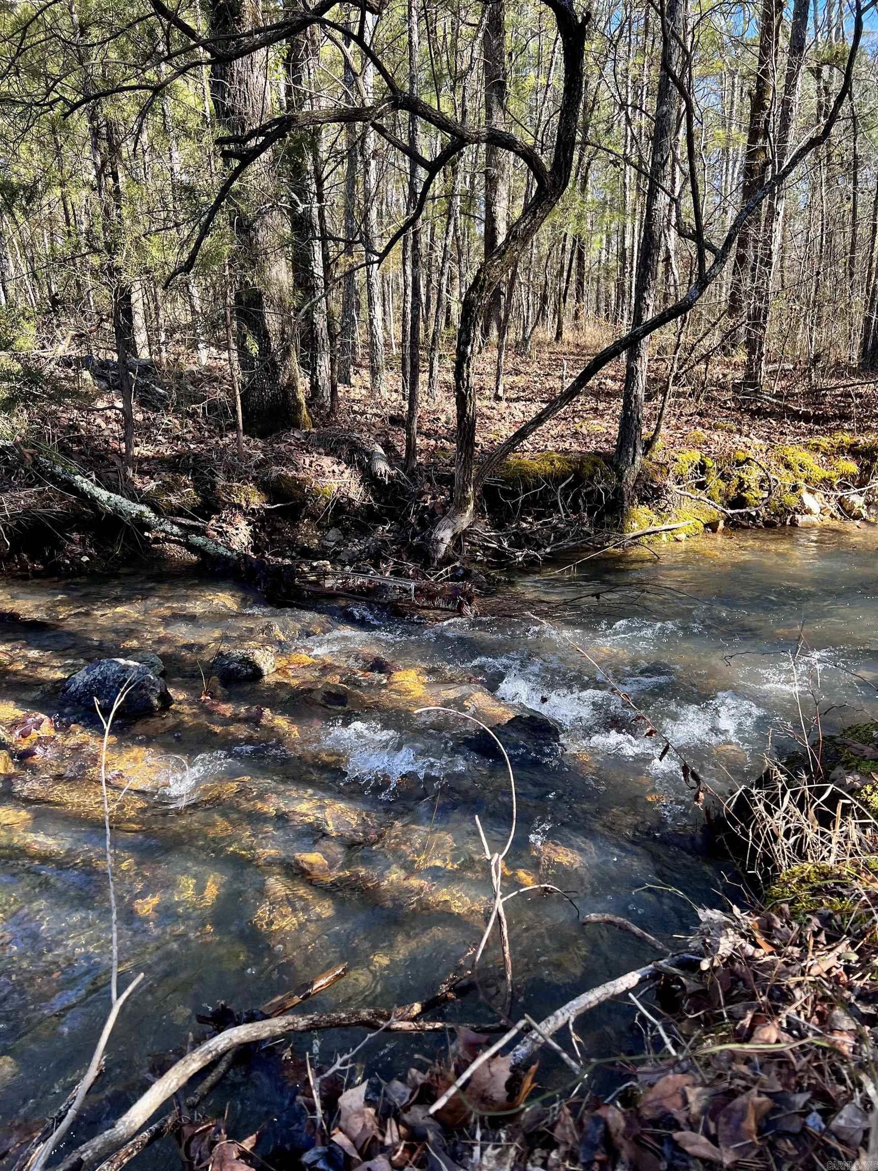 This property is 26.45 +/- acres of beautiful timberland lying adjacent to County Rd 52 (Dollar Road) in the Southeast part of Montgomery County Arkansas. Two gravel driveways access this beautiful property with large Oak, Cherry, and Walnut trees overlooking the perfect home site. Prop. shares a boundary with the Ouachita National Forest to the North while the headwaters of Sugarloaf Creek flows for approximately 500 ft. across the property to the South.This property hosts a great amount of wildlife including big Bucks and wild turkey! This could make a great retreat or camp for serious hunters. Electricity is available on site and municipal rural water is at the road. Located not far from this property is the beautiful Caddo River and Hot Springs is nearby offering Lake Hamilton, Oaklawn, and so much more! to the North while the headwaters of Sugarloaf Creek flows for approximately 500 ft. across the property to the S