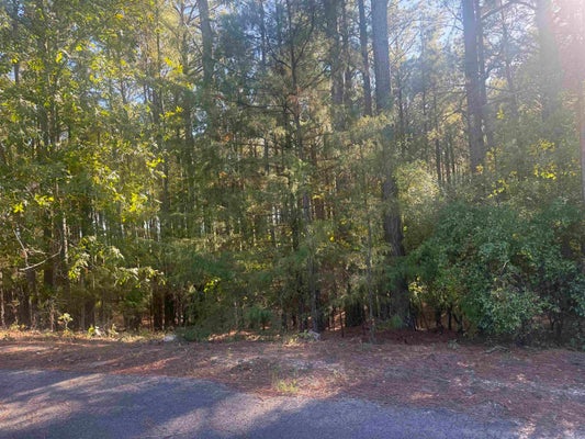 8 ATALAYA TRL, HOT SPRINGS VILLAGE, AR 71909 - Image 23014a38f26fce2a68aa6c9842aaeec7/3433590420
