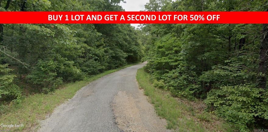 Buy one lot and get 50% off an additional lot! Owner-finance for easy terms. Cash buyers can pay by debit or credit card as well. Nice lot to develop or hold for future value. Public water and electric are available to run to property and will need septic. Owner/agent. Finance is 5 months at $194 and closing costs are included. Lots marked with red banner are part of promotion. No limit on lots. Buyer responsible for any/all taxes and lots sold "as-is". Quit claim deed conveys. Parcel ID# 145-11804-000