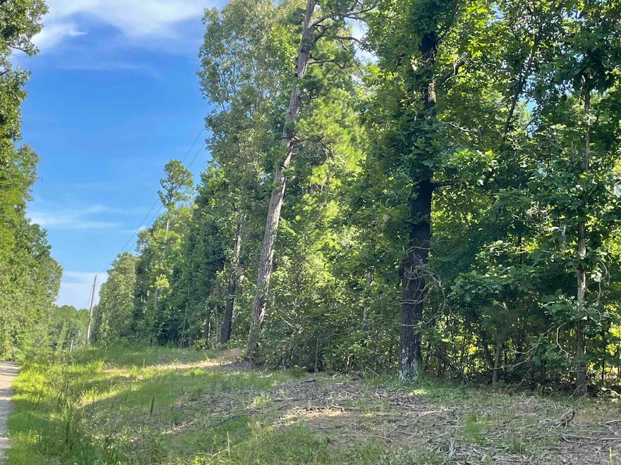 This 17-acre tract of heavily wooded land offers approximately a quarter mile of gravel road frontage on Stowe Road, located between Heber Springs and Pangburn. Situated south of Pangburn Road near the intersection of Good Springs and Long Branch Roads, this property provides a peaceful, rural setting surrounded by nature and wildlife. The land features mature hardwoods and a gently rolling landscape, ideal for a private home site, recreational retreat, or future development. Electric service is available at the road. The area is lightly developed, offering seclusion without being too far from town. This property is a blank canvas ready for your vision!