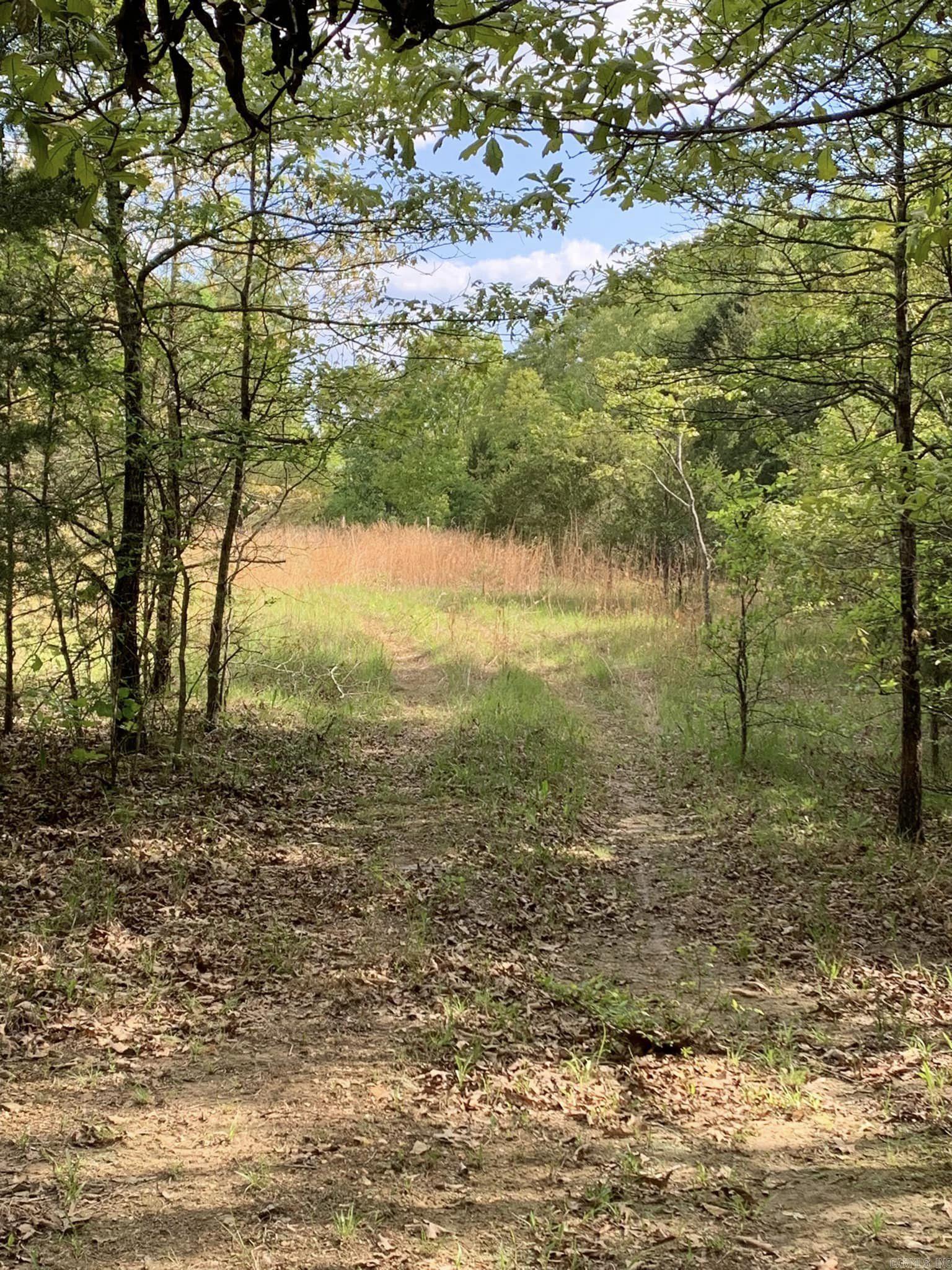 Welcome to the Market 20 mostly flat acres in Ravenden, Arkansas in the Foothills of the Ozark Mountains. Perfect Unrestricted Land near The Spring River. 20 Beautiful Acres Perfect For A Hunting Club, Camping, building mini cabins for nightly rentals close to the river or Building the Home Of Your Dreams Electric is close by the property.... The back of the property down the long trail has a fabulous view. Less than 5 miles to the Spring River Boat Dock. 2.5 Miles to Wautauga Springs Wutauga Spring is a natural flowing roadside spring enjoyed by locals and others passing through our area for over 100 years with crystal clear spring water. To this day people from all over Northeast Arkansas stop at Wautauga to fill jugs and jars with some of the best natural spring water. Call Us & Schedule Your Tour TODAY!